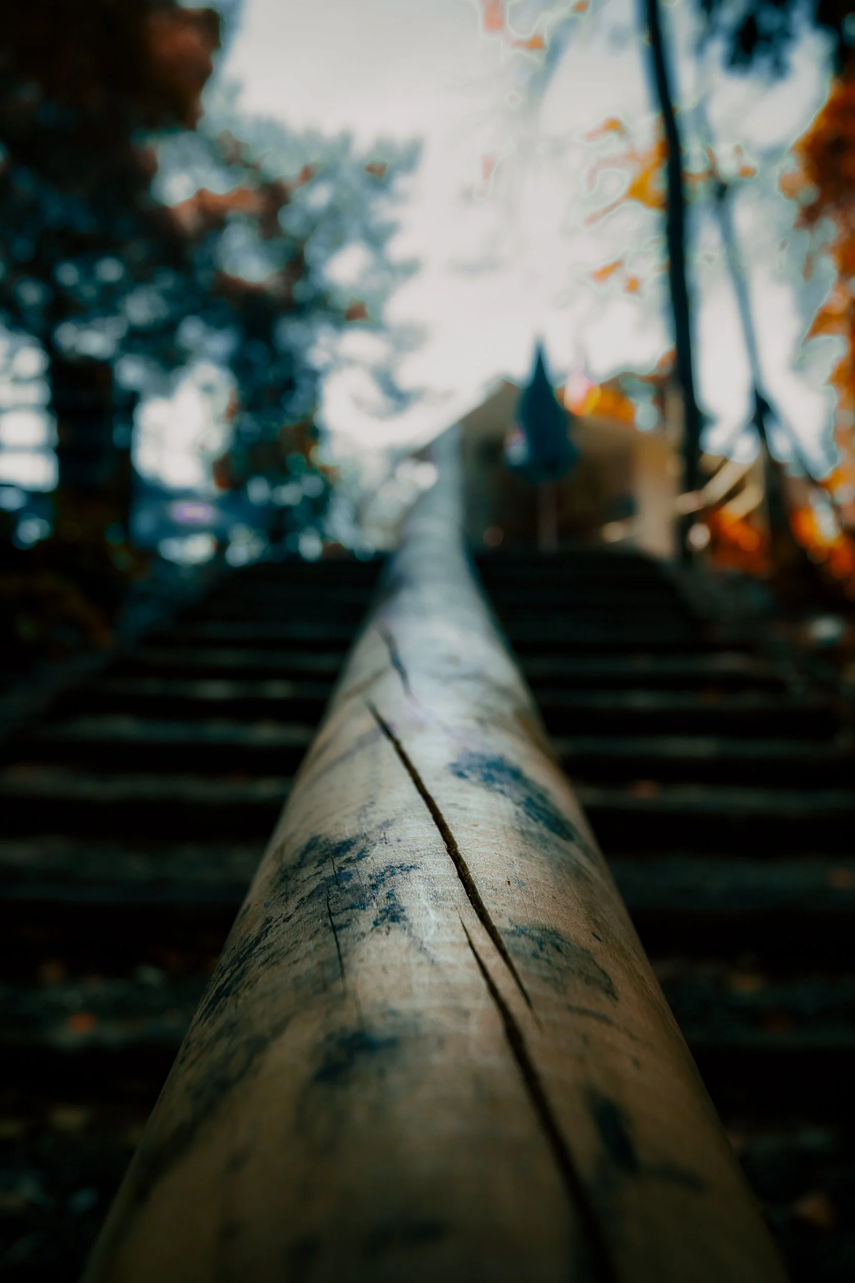 Perspectiva de uma escada com guarda-corpo de madeira, com árvores ao redor e céu com nuvens ao fundo.