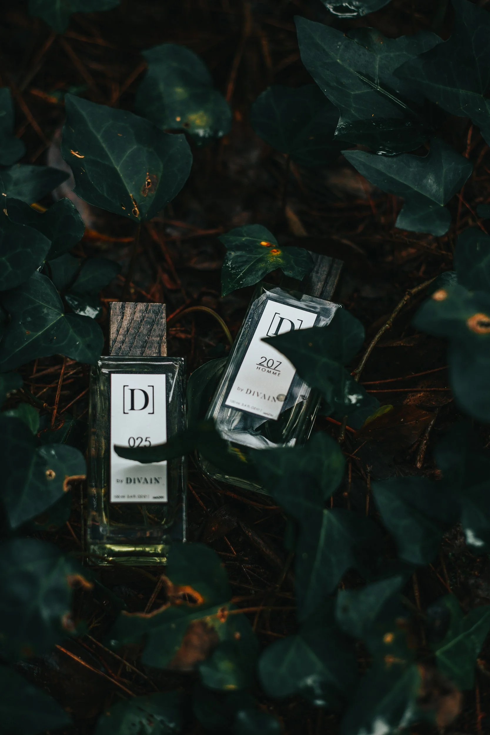 Frascos de perfume escondidos entre folhas verdes de uma planta.