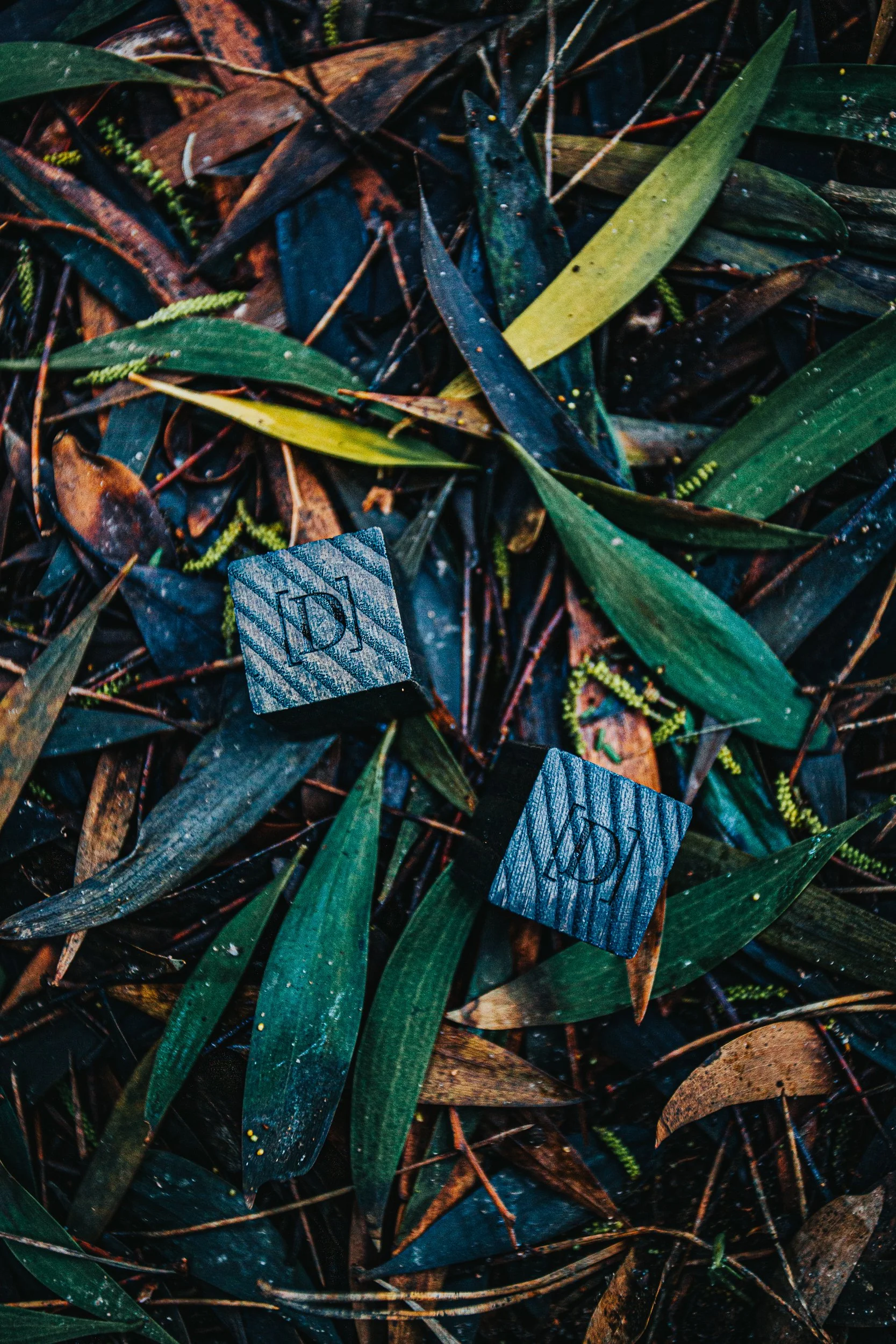 Folhas verdes e marrons no chão com dois cubos de madeira escura com inscrições em relevo.