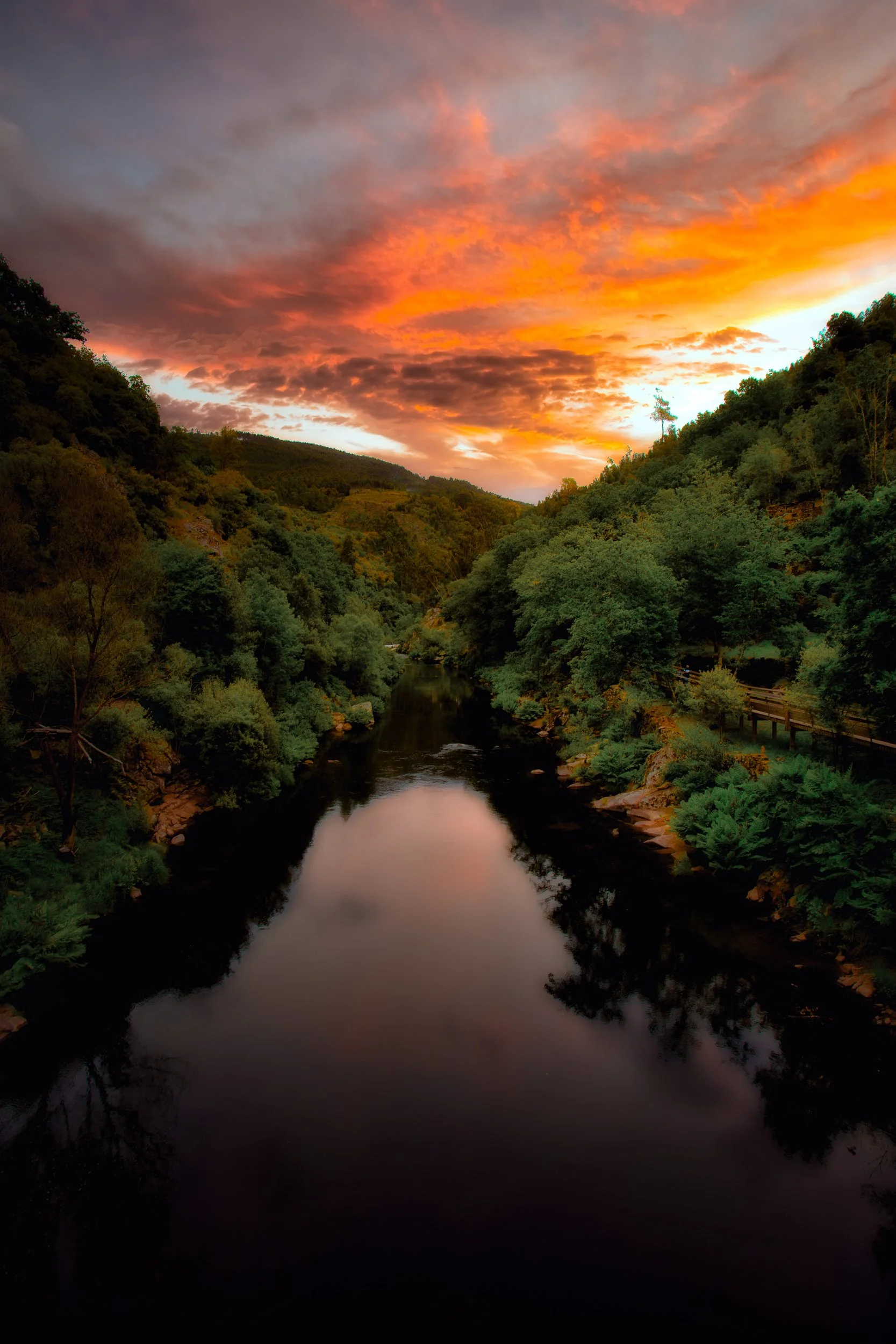 Pôr do sol com céu laranja e rosa sobre um rio cercado por vegetação verde em uma área de floresta.