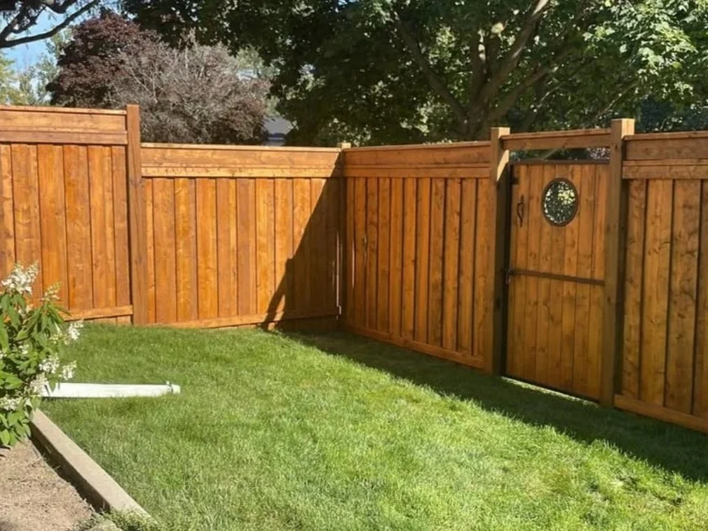 Backyard with a new wooden privacy fence, a grassy lawn, and trees in the background.