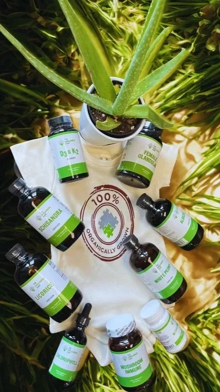 A potted aloe vera plant surrounded by bottles of herbal supplements and vitamins on a cloth with a '100% organically grown' logo.