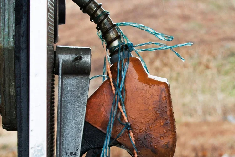 Voters Report Rising Climate Impacts and Strongly Support Making Polluters Pay