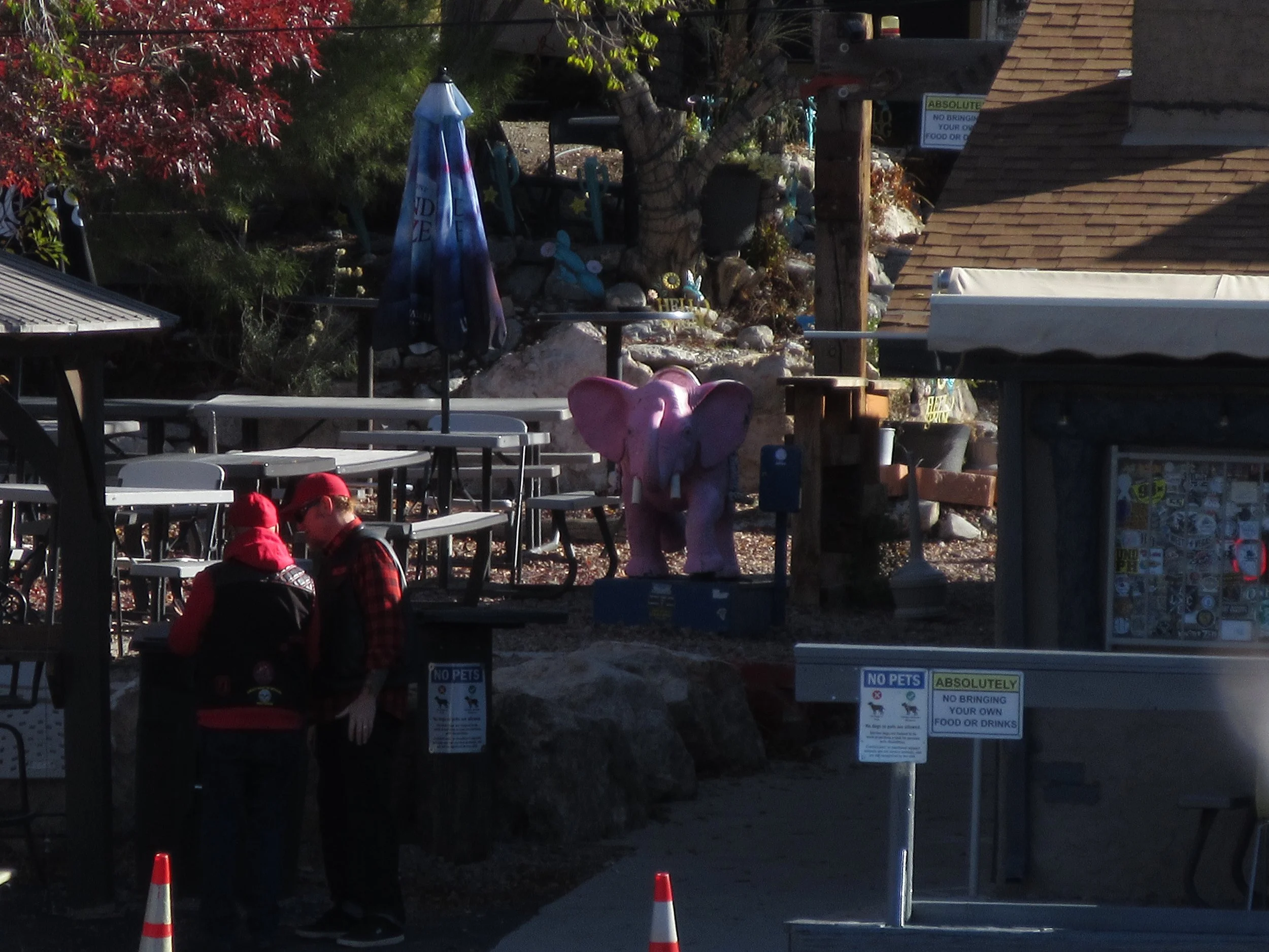 Two people dressed in red and black jackets and red hats are standing near a rock. Behind them, there are several empty outdoor tables and chairs, a pink elephant sculpture, an umbrella, and various decorations and plants.