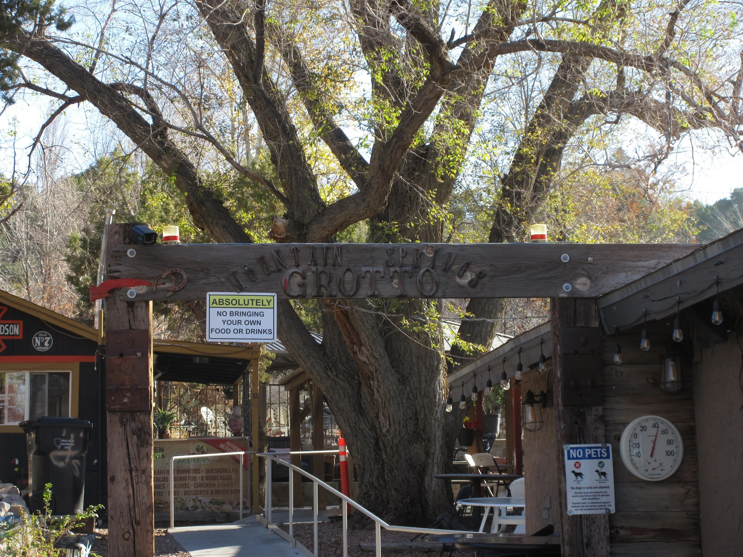 Entrance of a rustic outdoor restaurant or cafe with a wooden sign reading 'Mountain Spring Grotto.' Signs indicating no outside food or drinks and no pets allowed are visible. There are string lights hanging, a large tree, and seating area in the ba