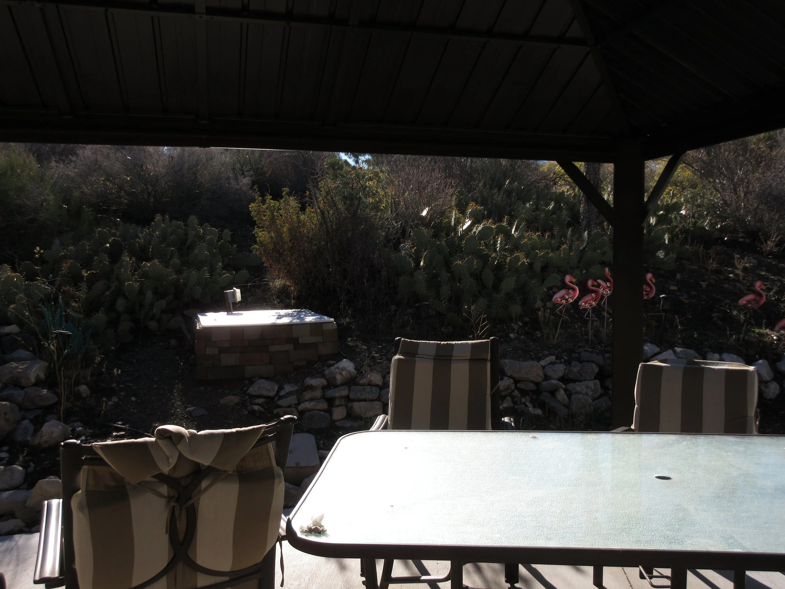 Patio with a table and chairs under a covered area, plants, and pink flamingo statues in a desert landscape.