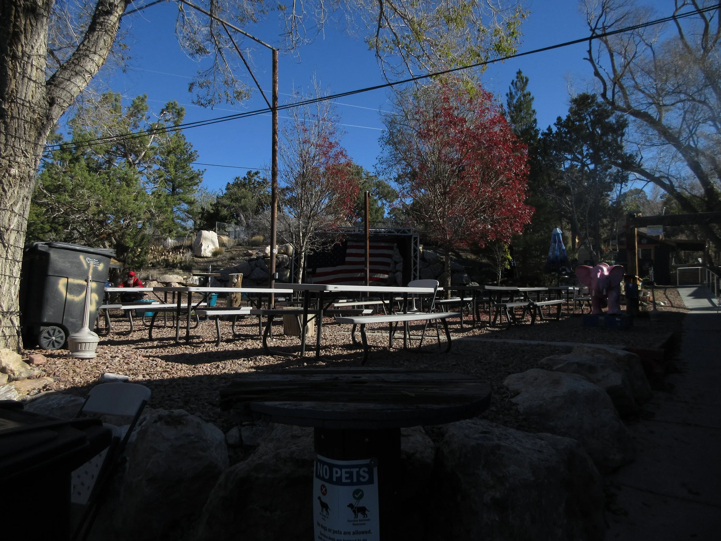 Outdoor area with picnic tables, trees with autumn foliage, a stage with an American flag backdrop, a pink elephant sculpture, and a 'No Pets' sign on a rock.