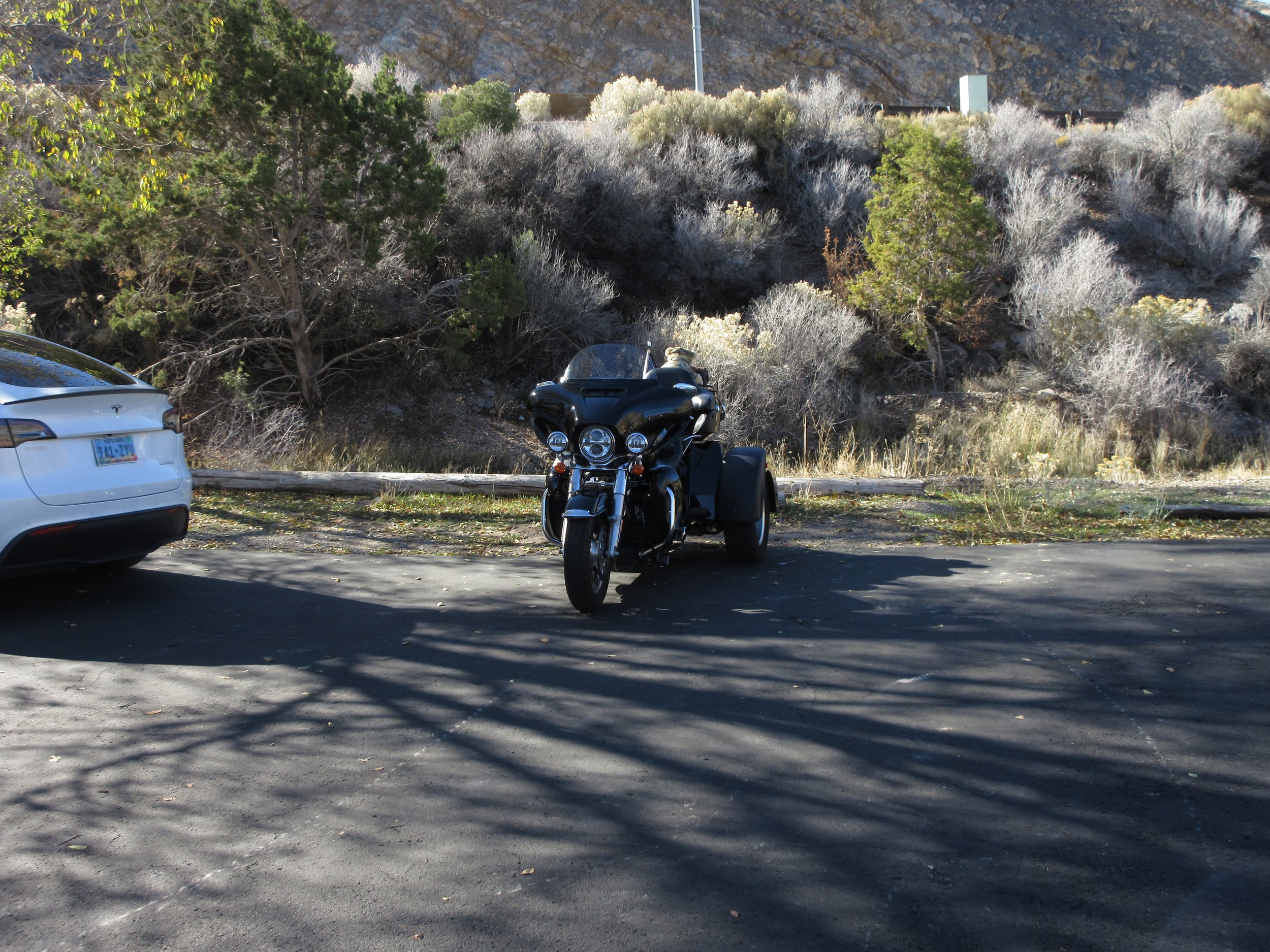 A black motorcycle with a sidecar parked in a lot with a white car on the left and trees and shrubs in the background.