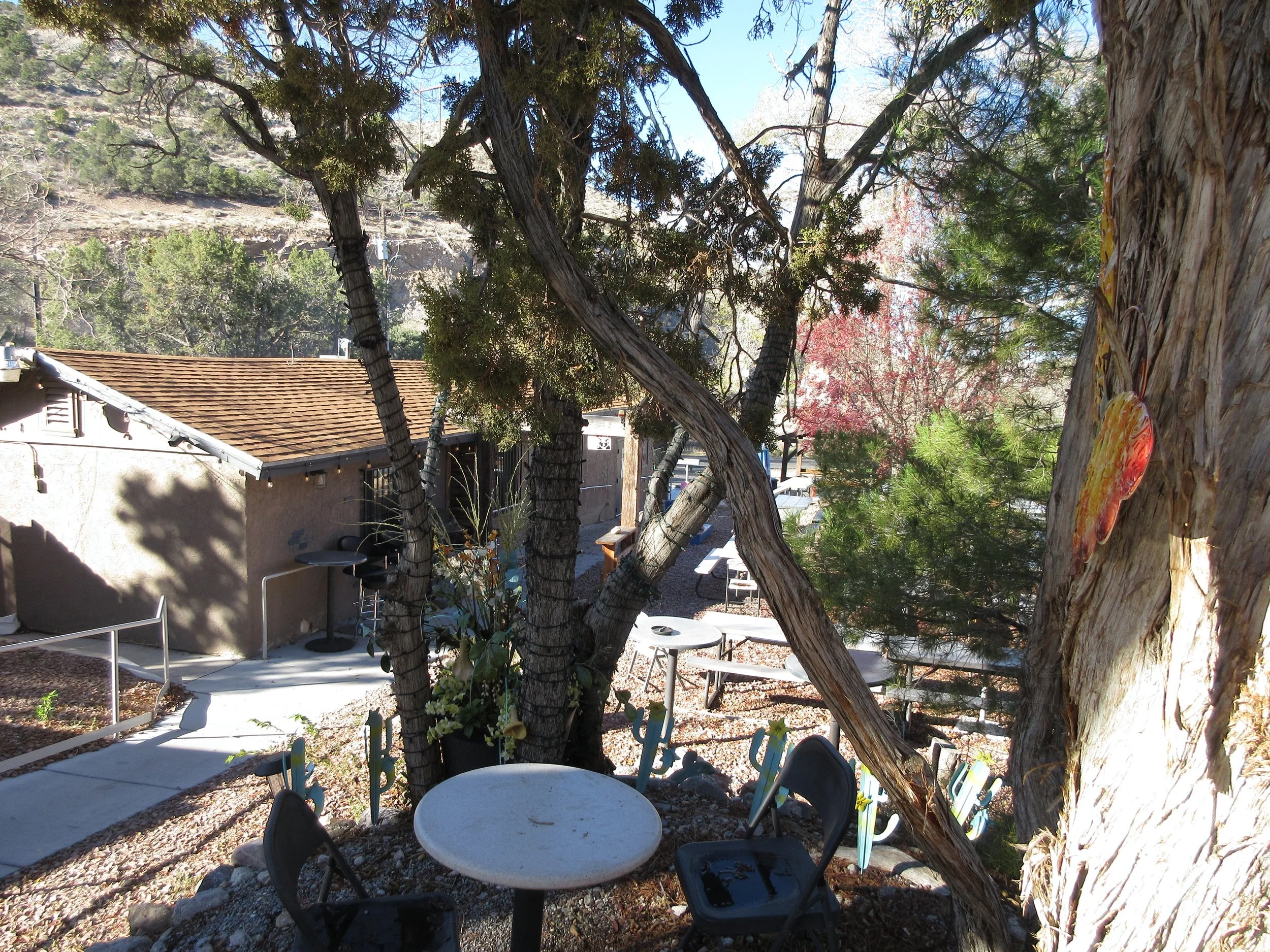 Outdoor patio area with trees, chairs, and a small table, with a building and mountain landscape in the background.