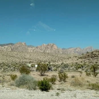 Desert landscape with scattered bushes and distant mountains under a clear blue sky.