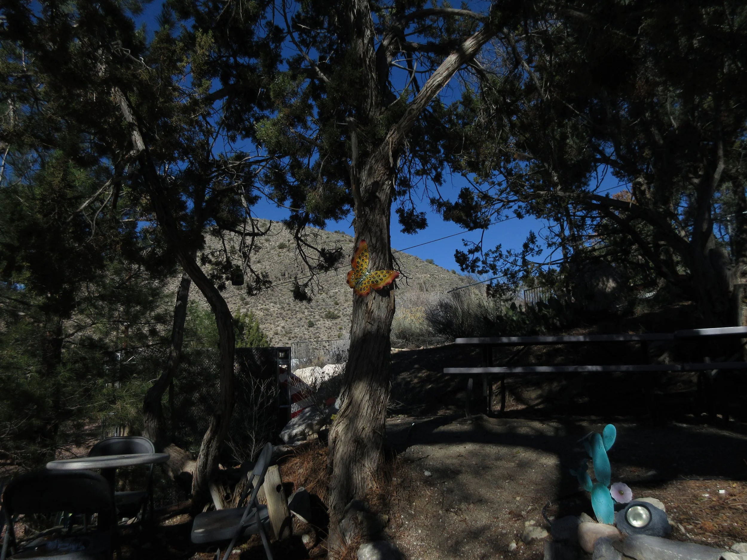 A backyard with trees, outdoor chairs, a colorful butterfly decoration on a tree, and a mountain in the background.