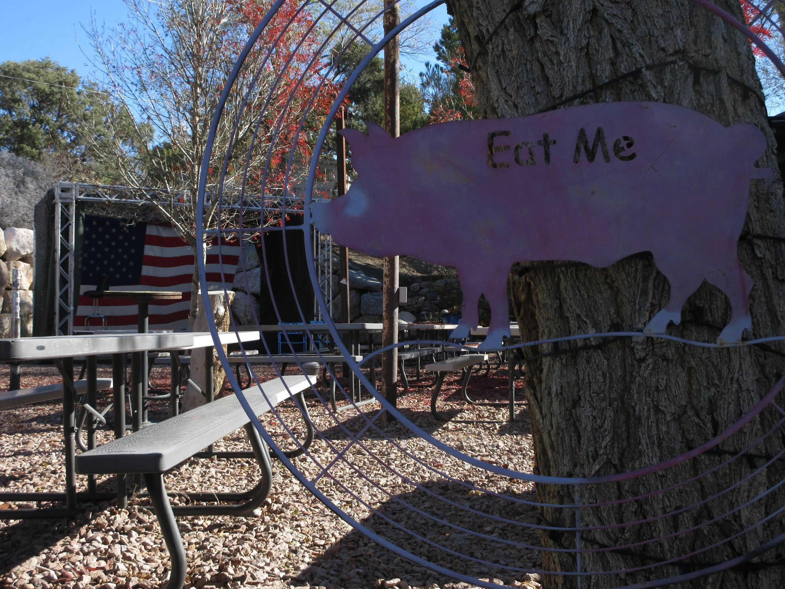 A metal pig sculpture with the words 'Eat Me' painted on it, attached to a tree in an outdoor setting. There are picnic tables, an American flag, and a stage with a table and a chair in the background.