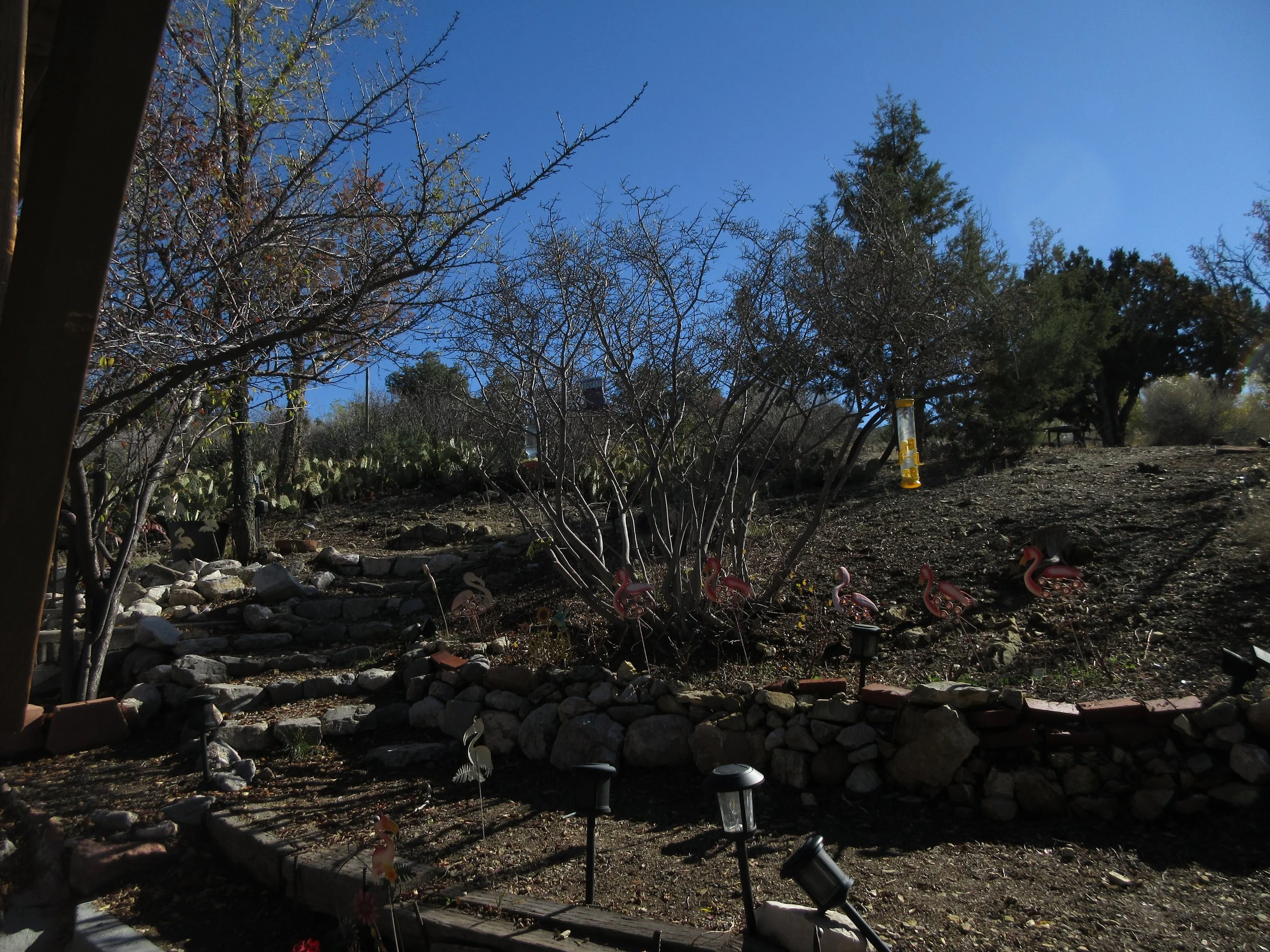 A backyard garden with leafless trees, decorative flamingo and bird ornaments, stone border, and outdoor lighting fixtures under a clear blue sky.