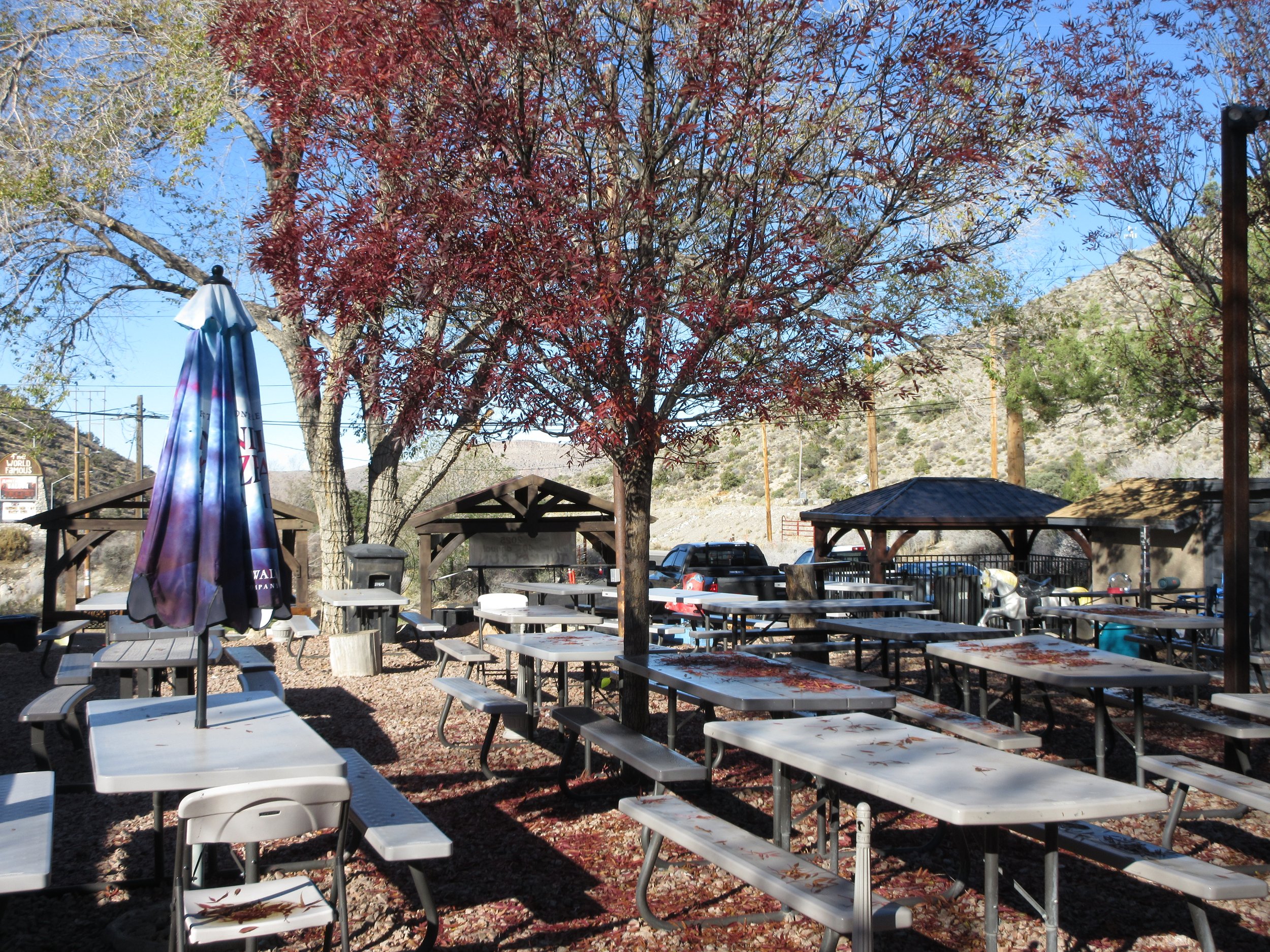 An outdoor dining area with picnic tables under trees with fall-colored leaves, and a closed umbrella on a sunny day.