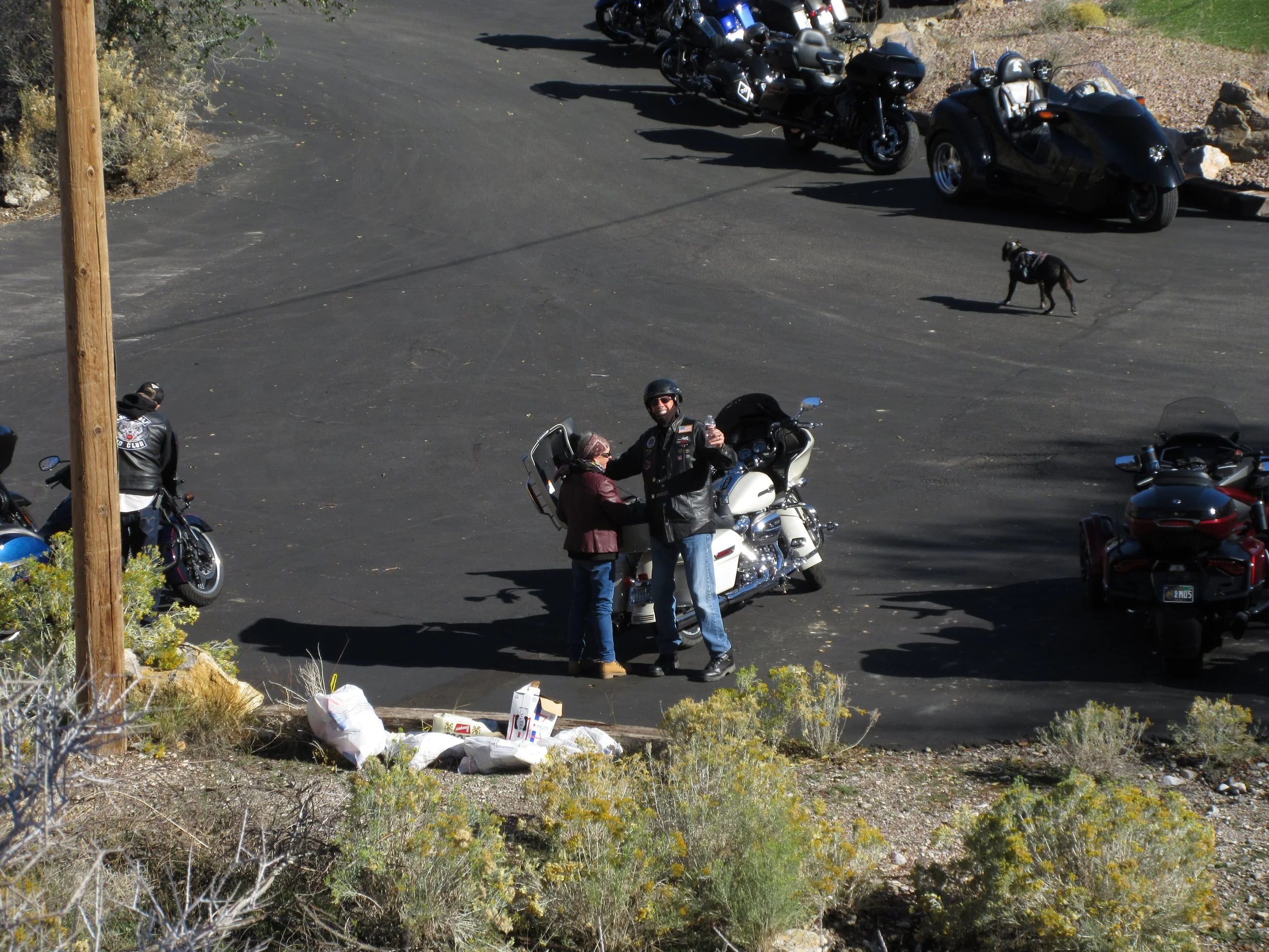 Two bikers are standing next to a white touring motorcycle, shaking hands indoors on a paved parking lot. Several other motorcycles and a black motorcycle with a sidecar are parked nearby. There is a dog walking in the background and some bushes and 