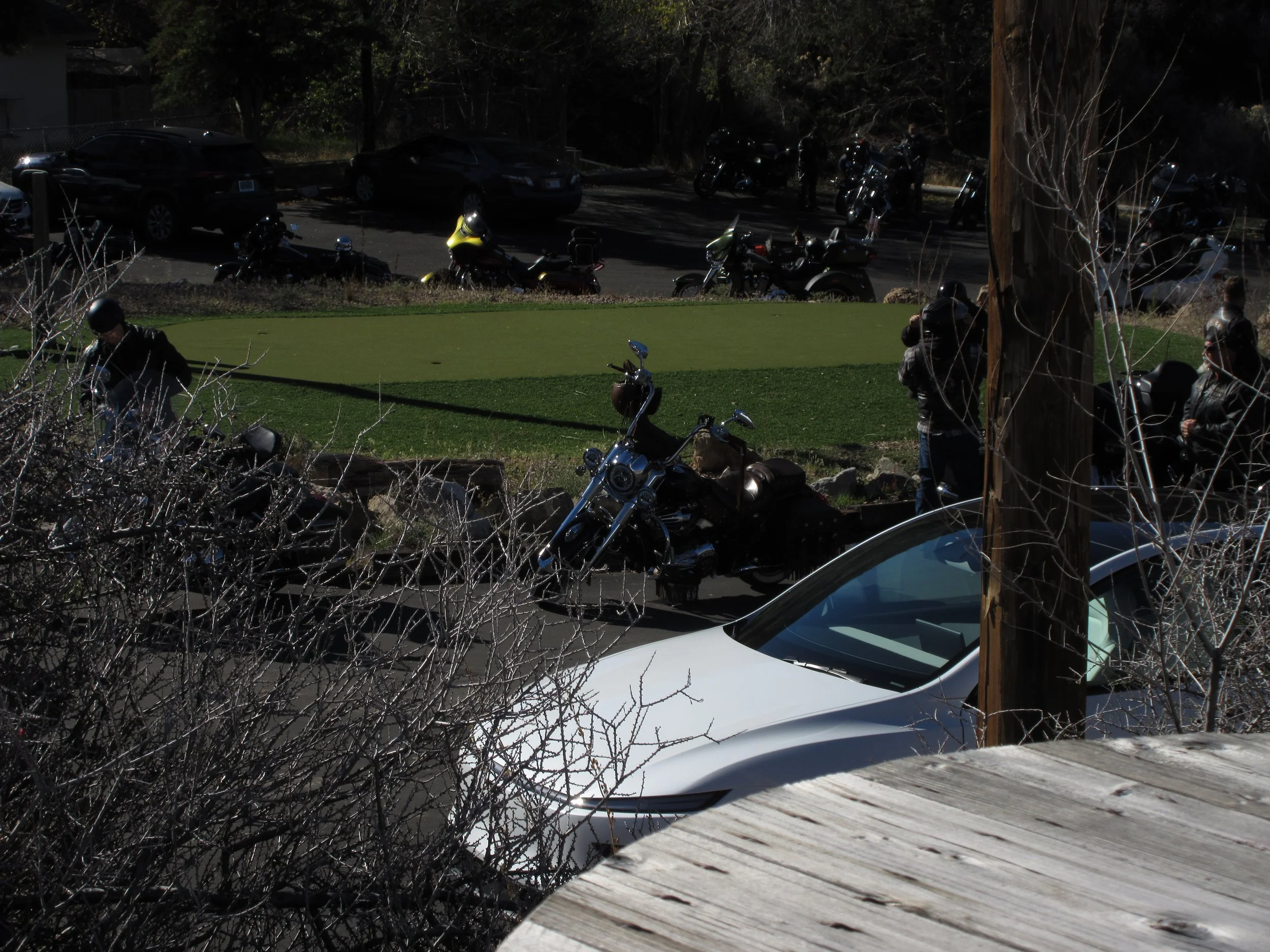 Street scene with parked motorcycles, cars, pedestrians, and trees with leafless branches.