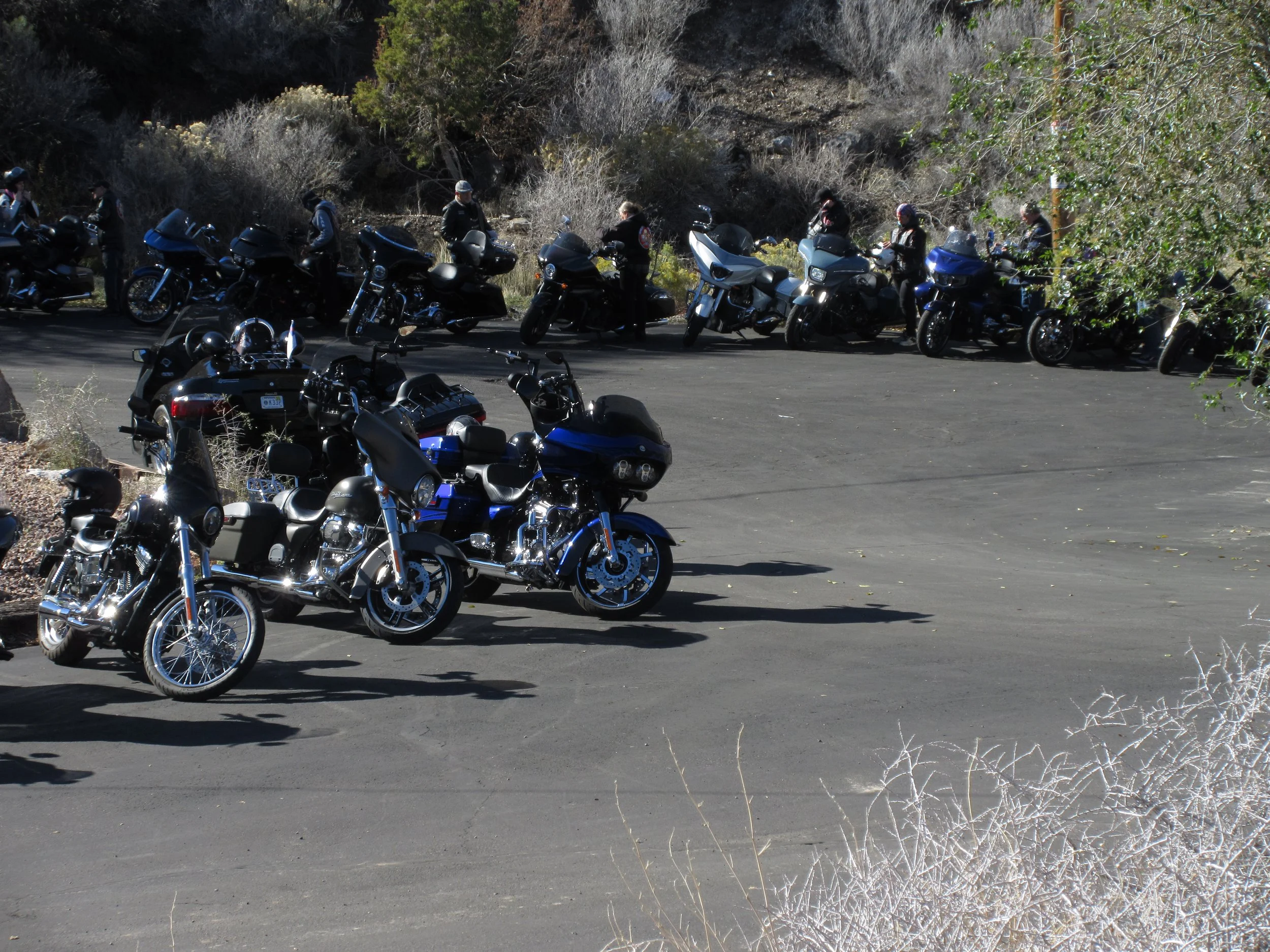 Group of motorcycles parked in a lot with some riders standing nearby under a tree on a sunny day.