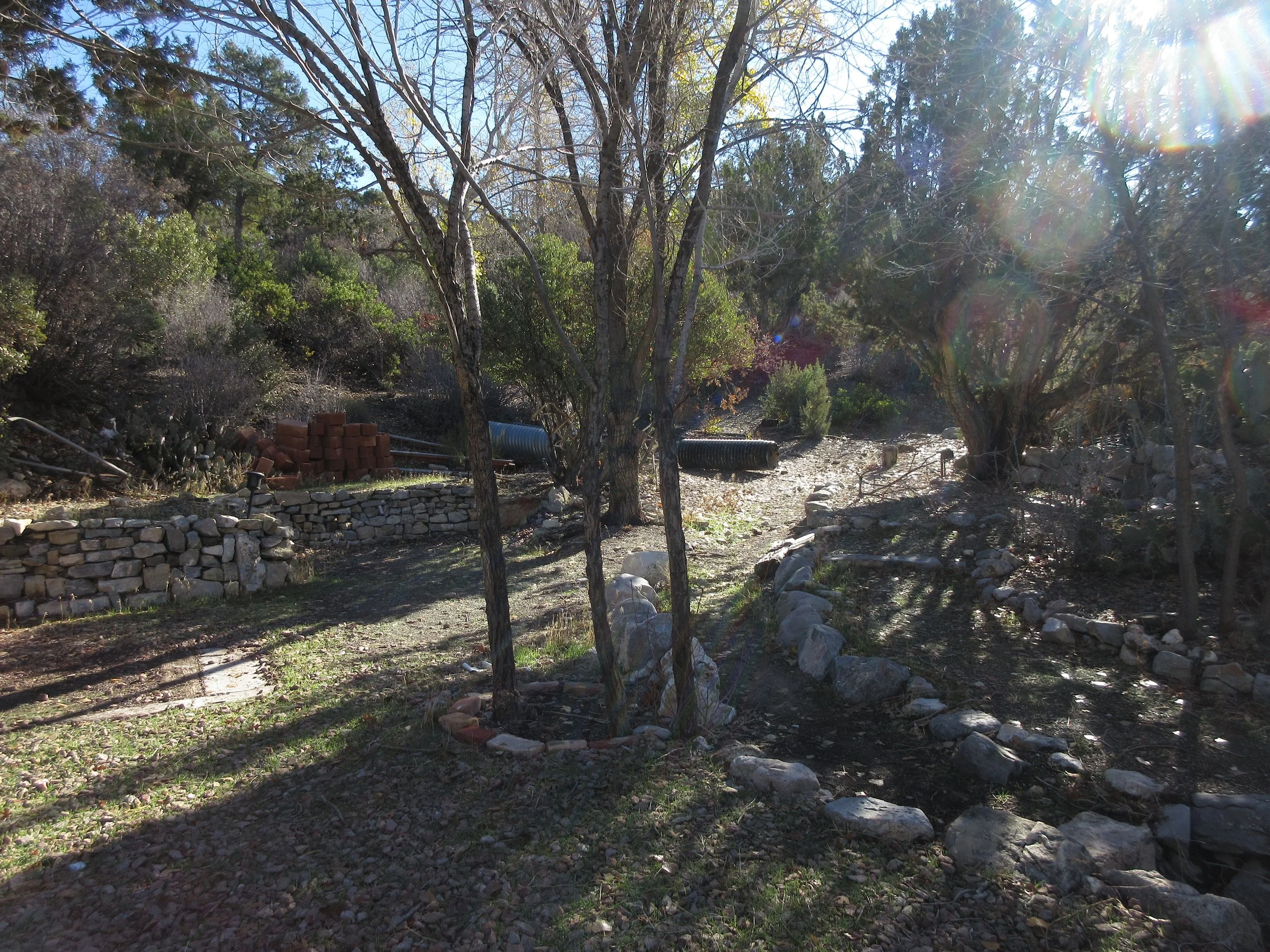 Sunlit outdoor garden with trees, rocks, and stone-bordered pathways, some waste pipes and bricks visible.
