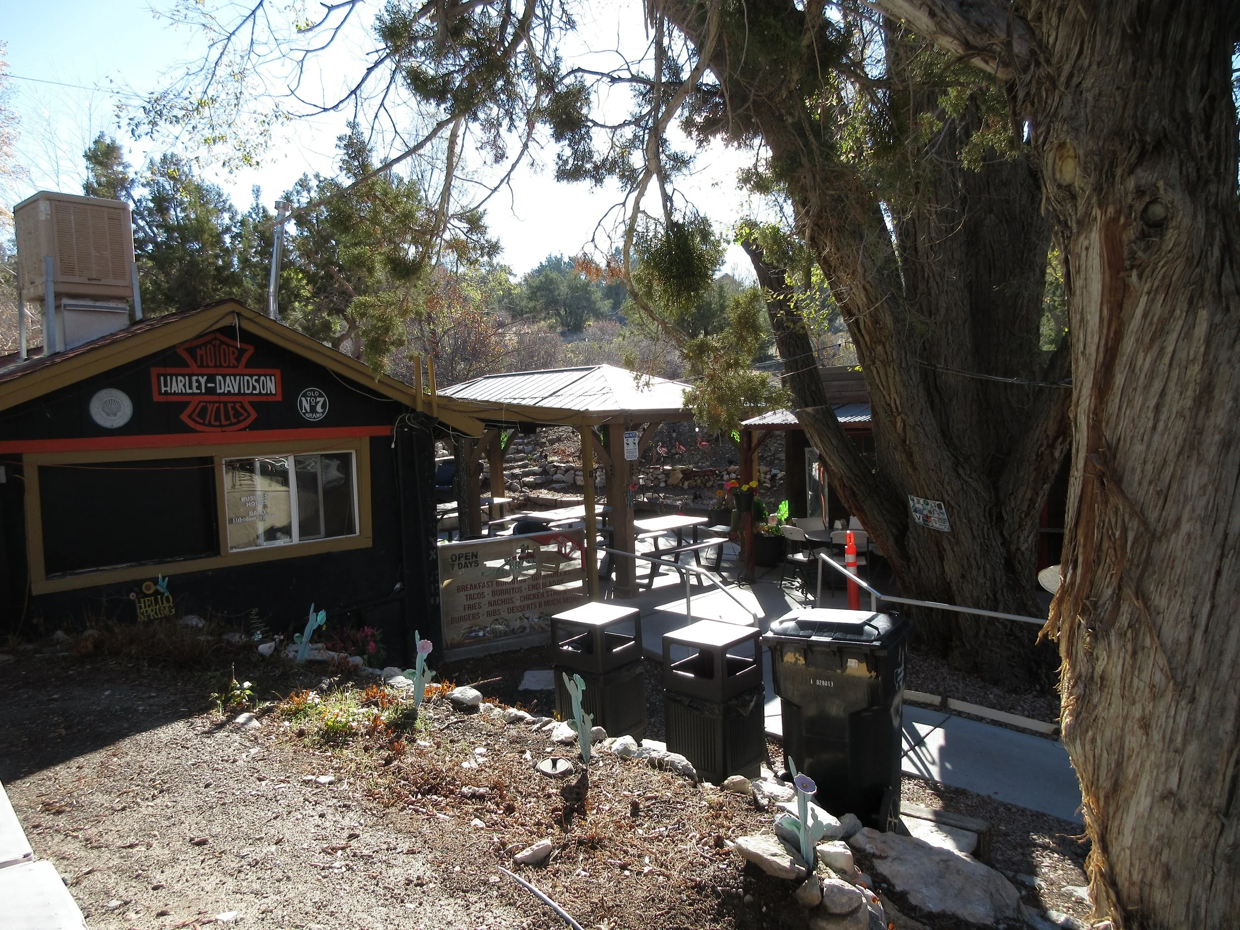 A small Harley-Davidson motorcycle shop with outdoor seating, tall trees, and decorative plants in the foreground.