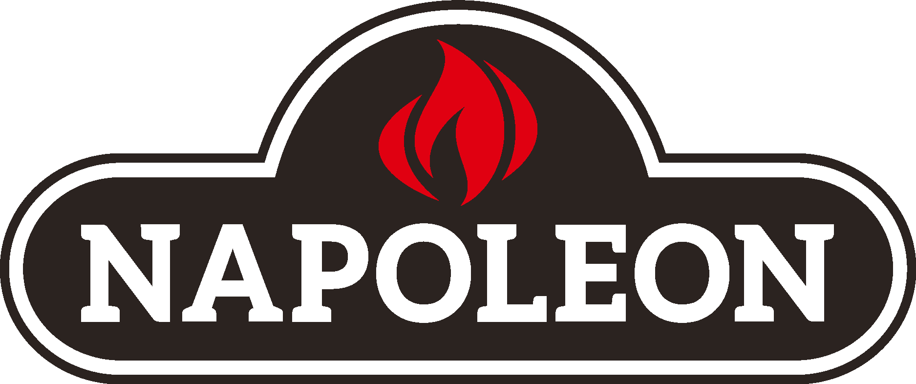 Napoleon charcoal grill logo with a flame icon above the word Napoleon in white letters on a black background.