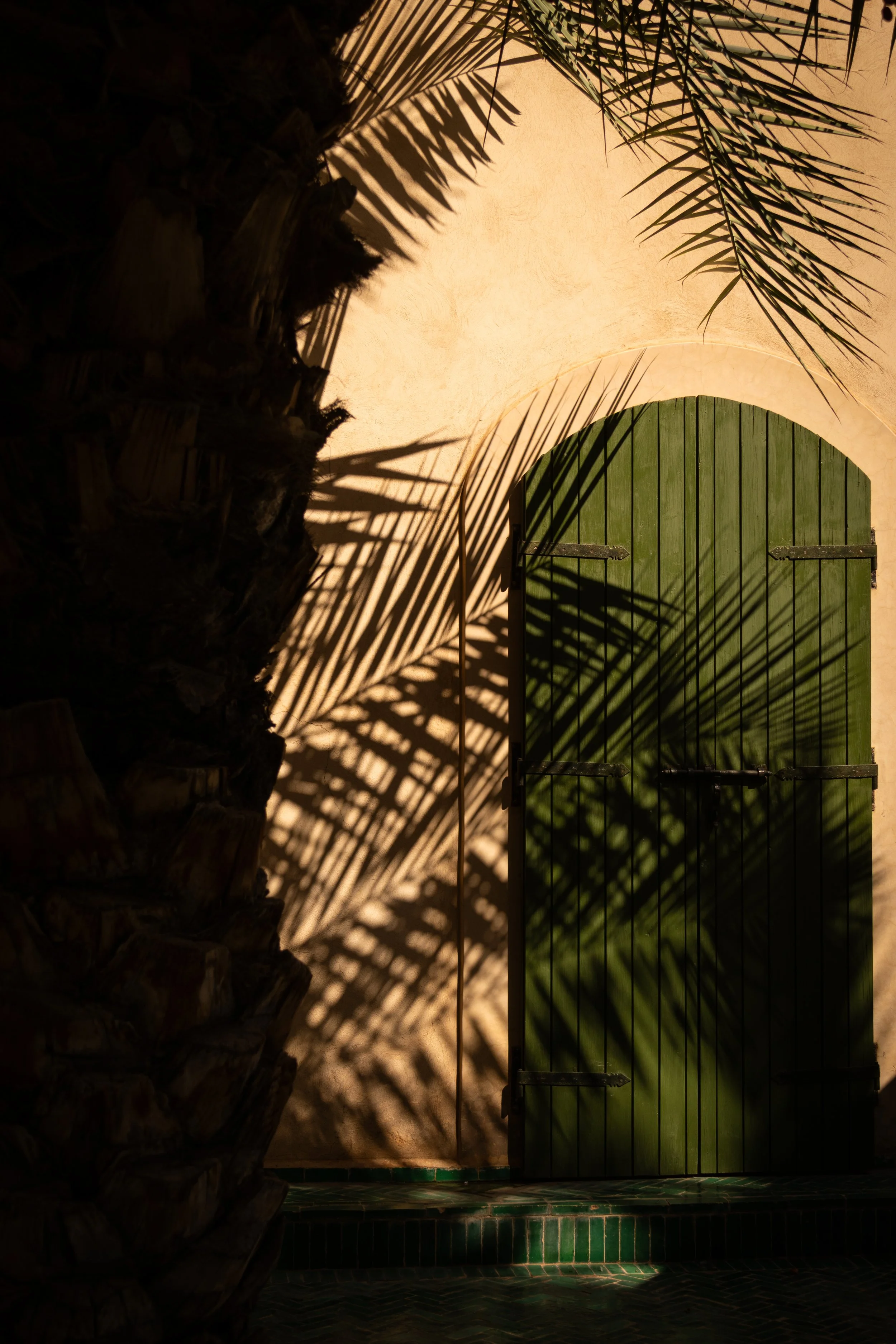 Shadow of palm leaves cast on a green arched wooden door and beige wall.