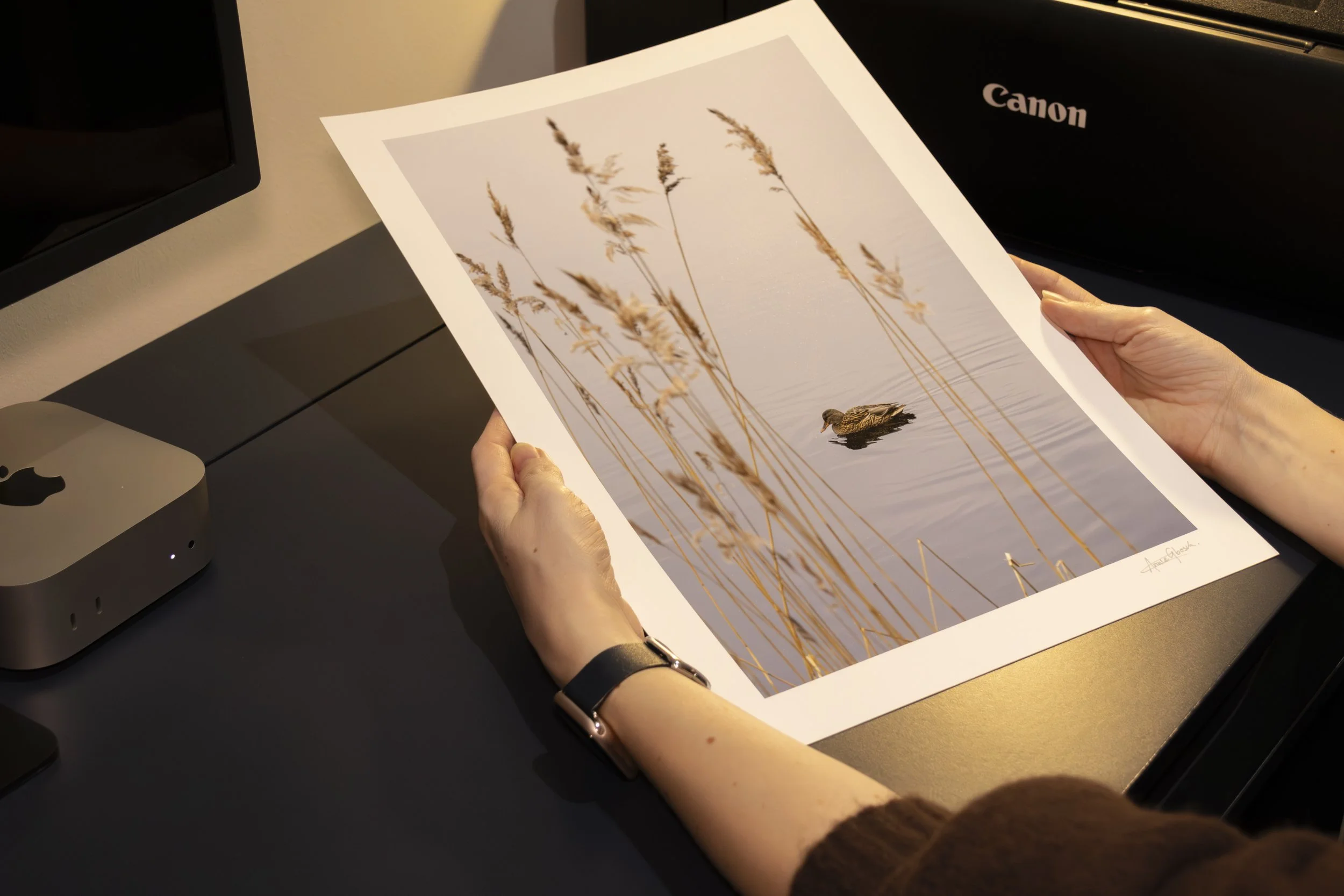 Beyond the Reeds - Saltsjöbaden, Sweden (In Person).jpg