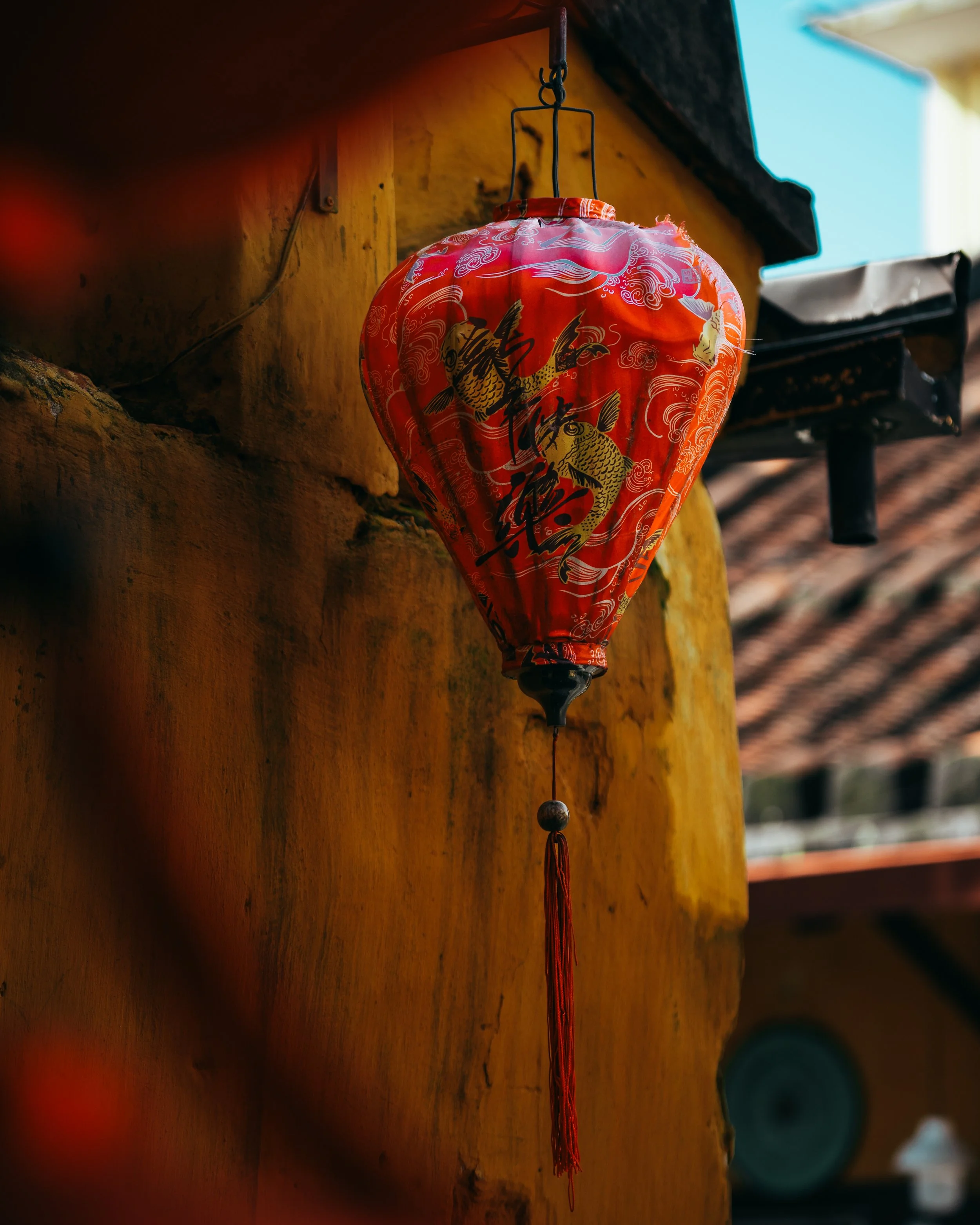 Side Street Lantern, Vietnam