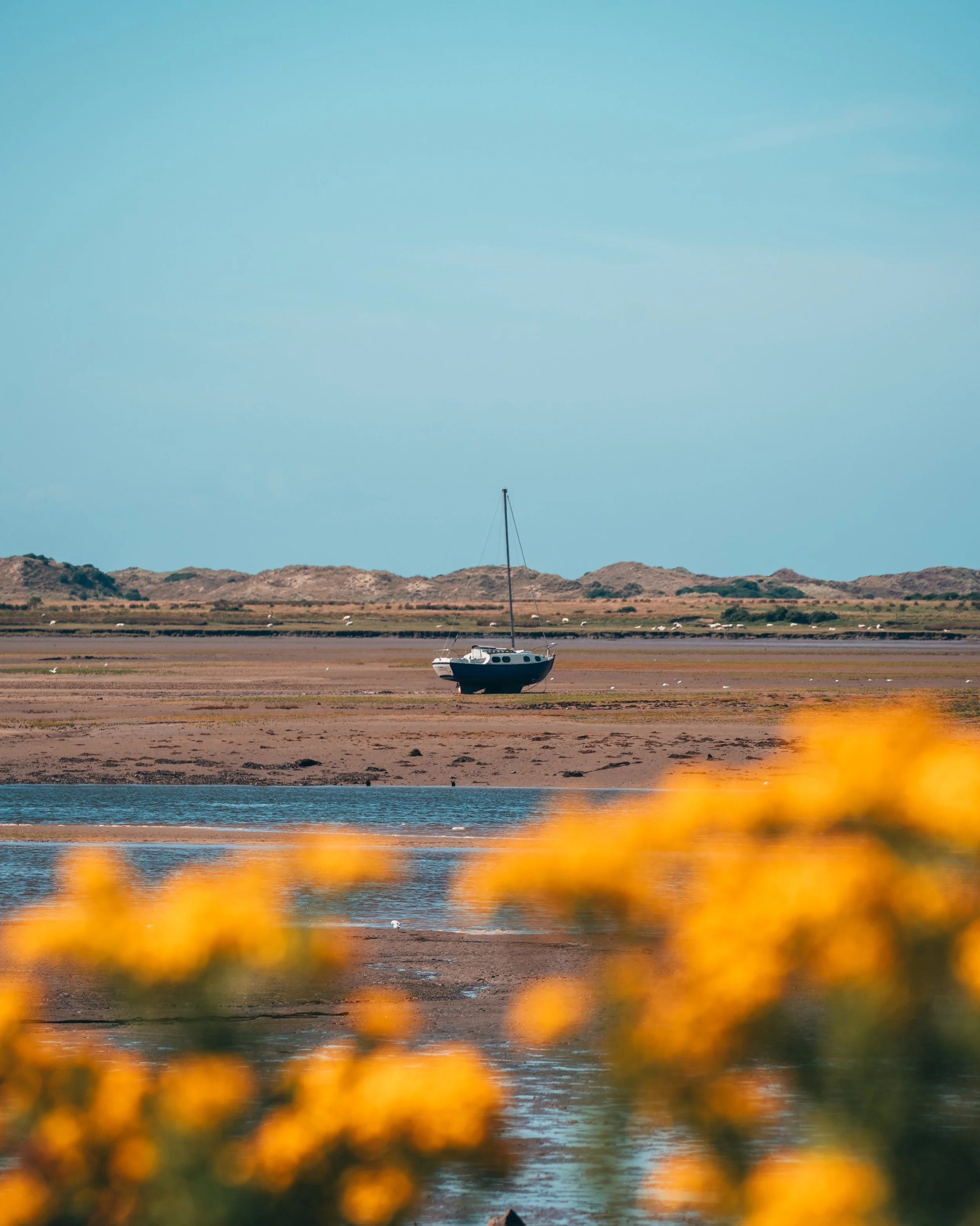 Lake District coastline