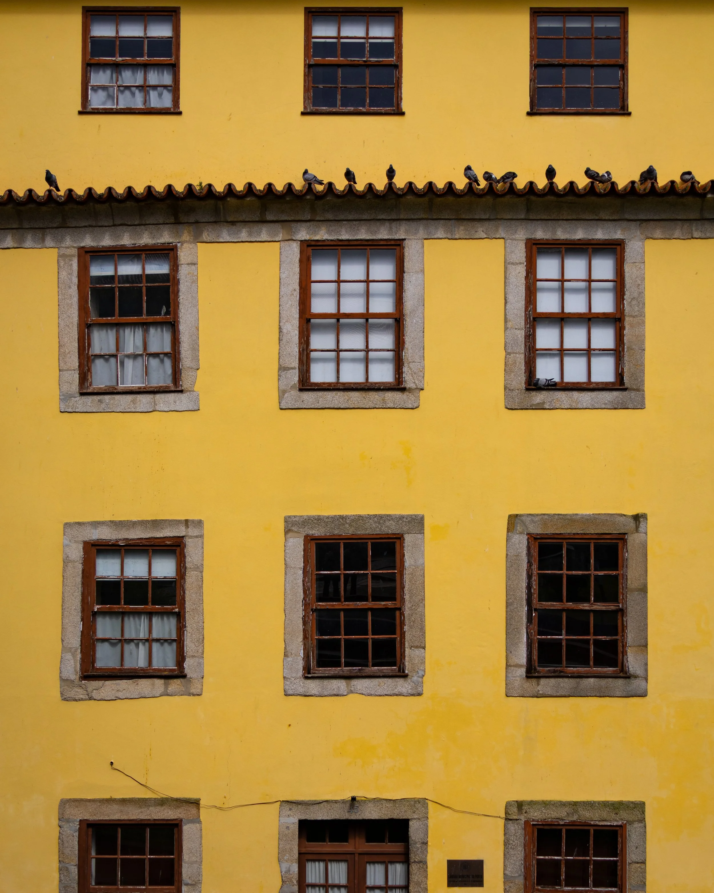Perched in Porto - Porto, Portugal.jpg