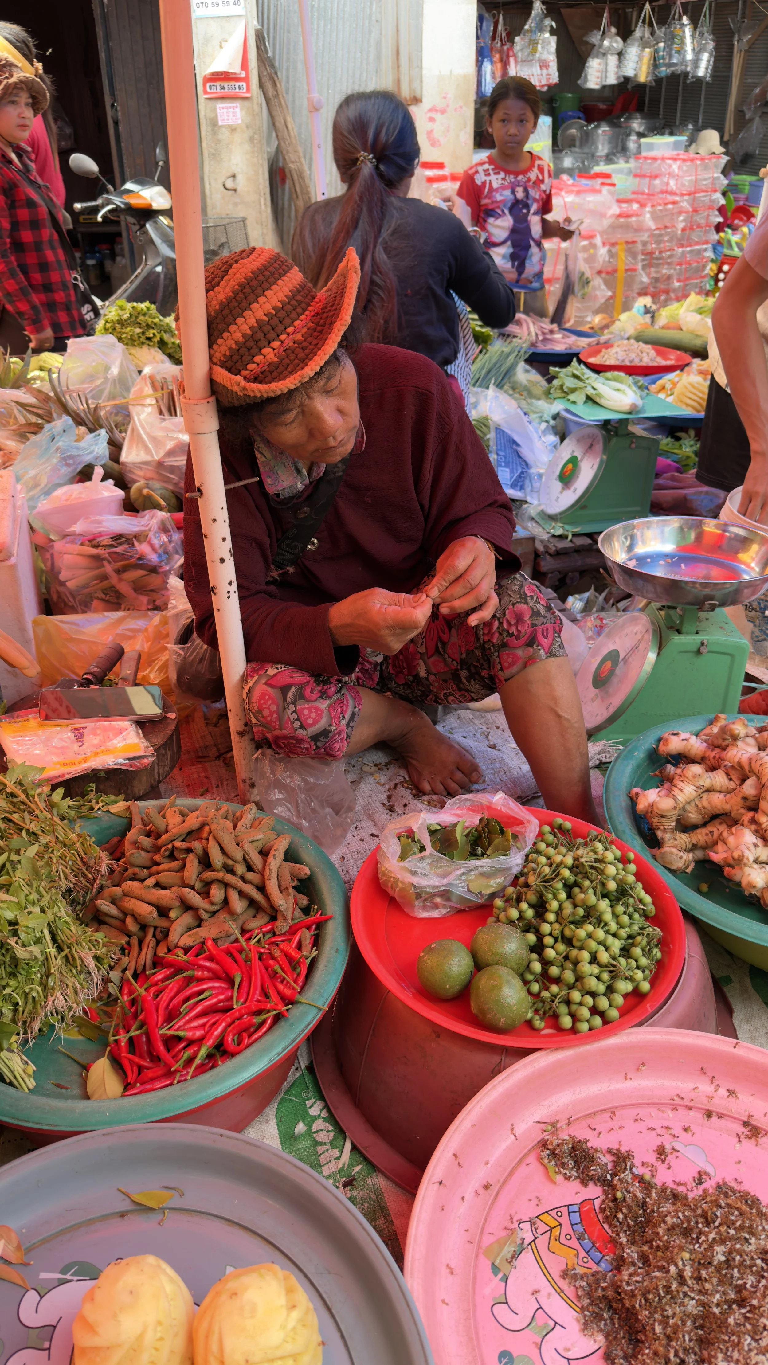 A local vendor sitting and selling goods at a street market on the way to Kompong Phluk