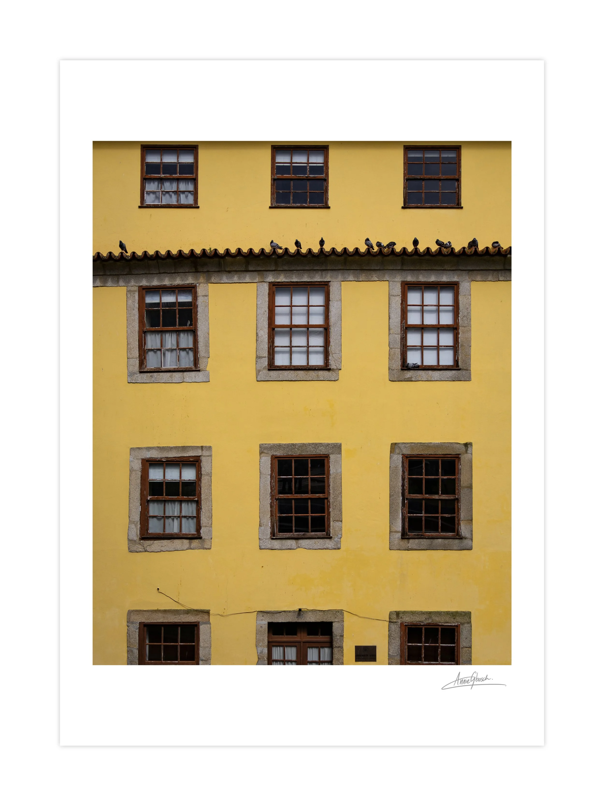 Perched in Porto - Porto, Portugal (ON PAPER).jpeg