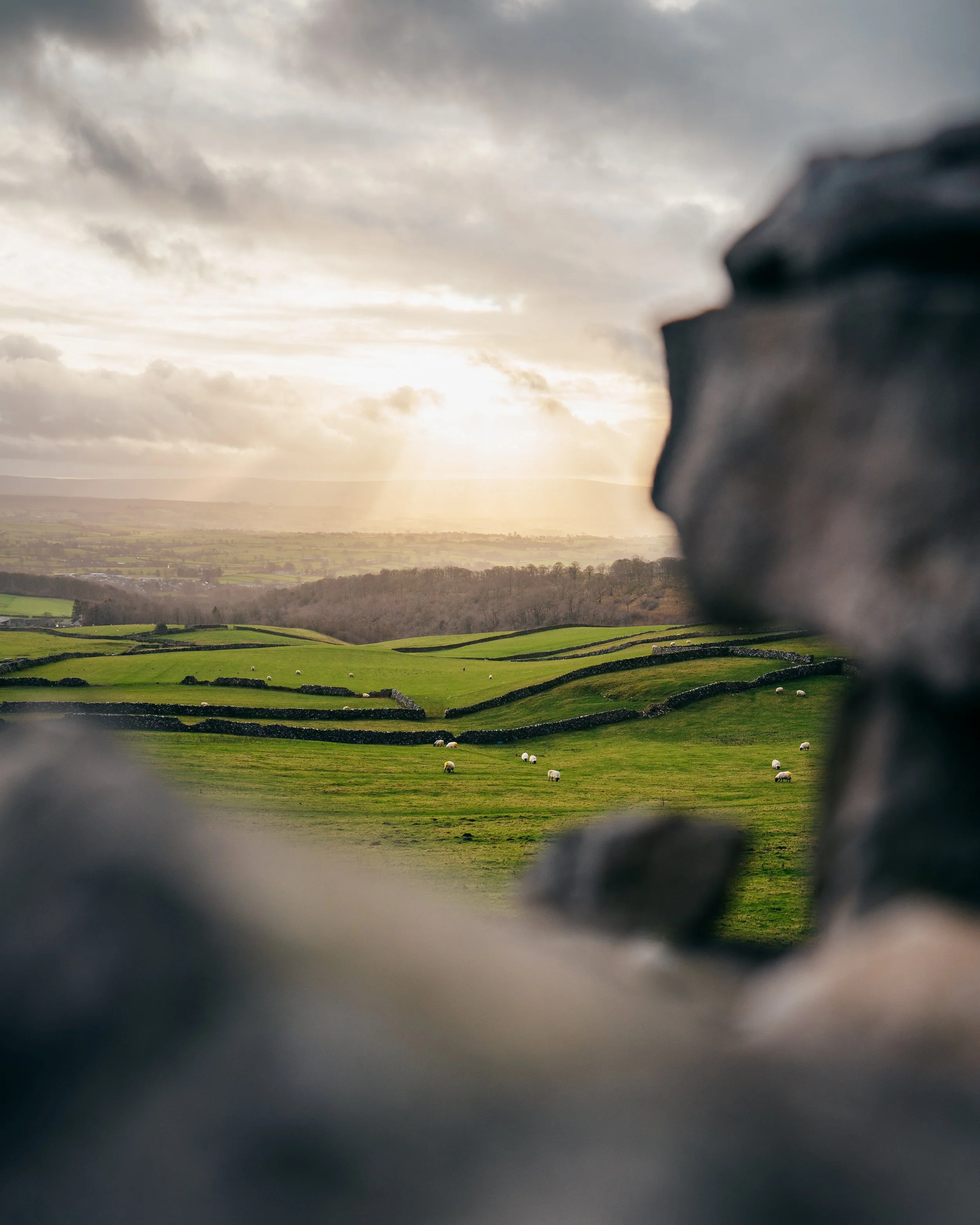 Woolly Wanderers of Yorkshire