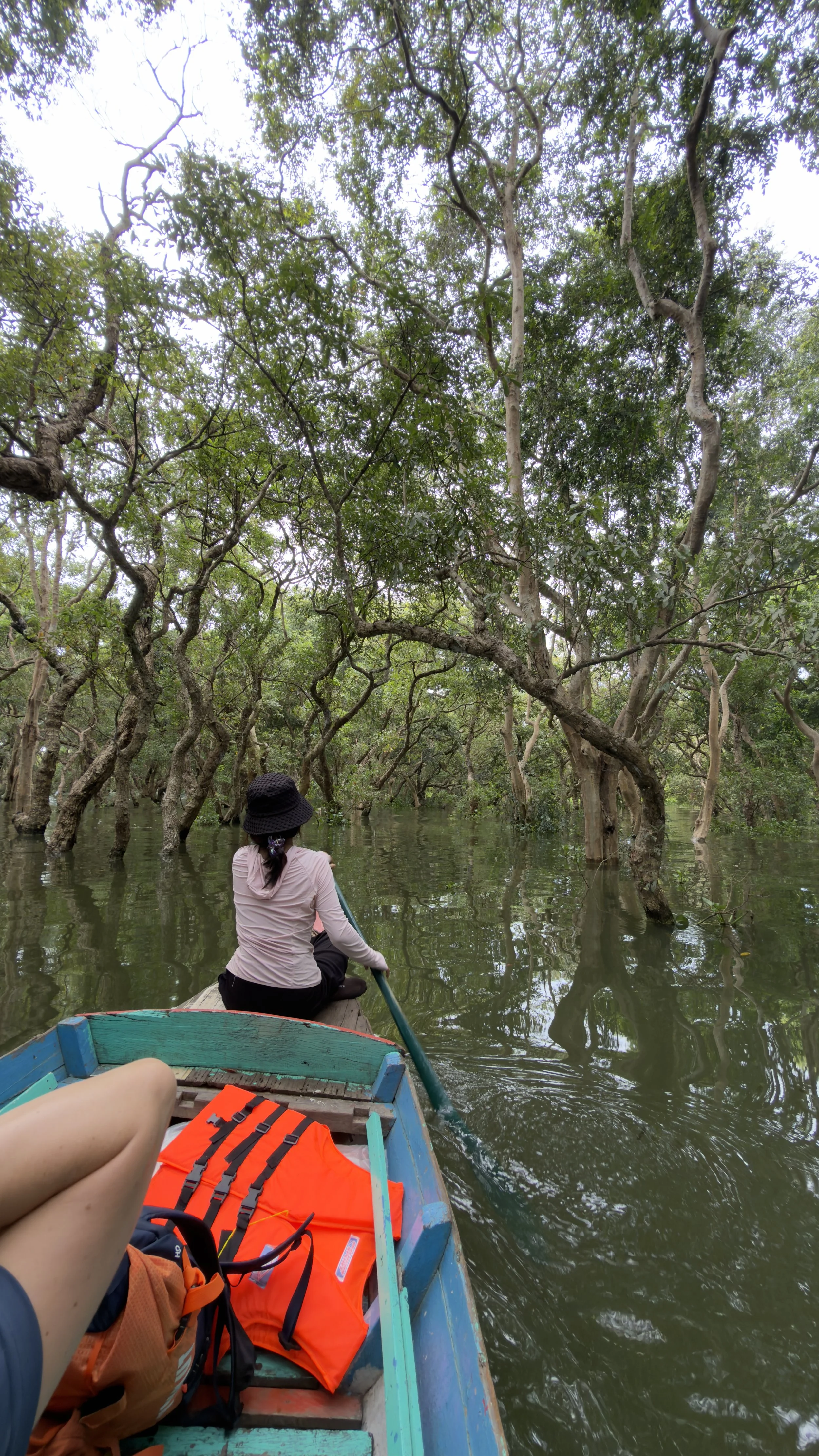 On a small rowing boat navigating the mangroves near Tonle Sap Lake, Cambodia