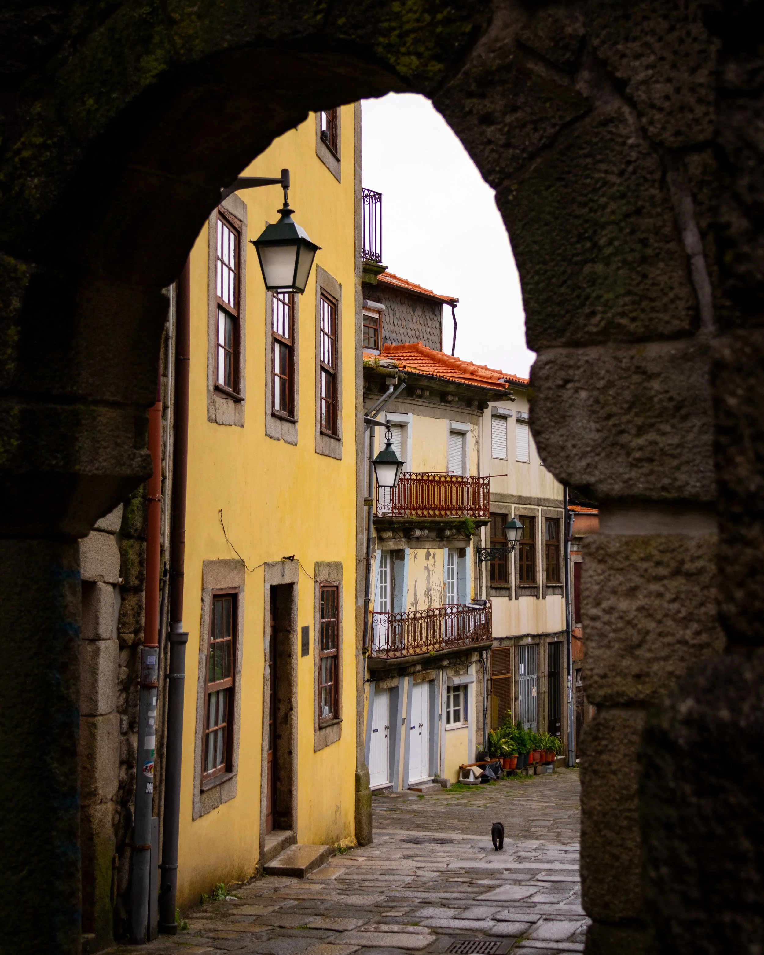 View of a narrow cobblestone street through an arched stone opening, showing colorful old buildings with balconies and a black cat walking down the street.