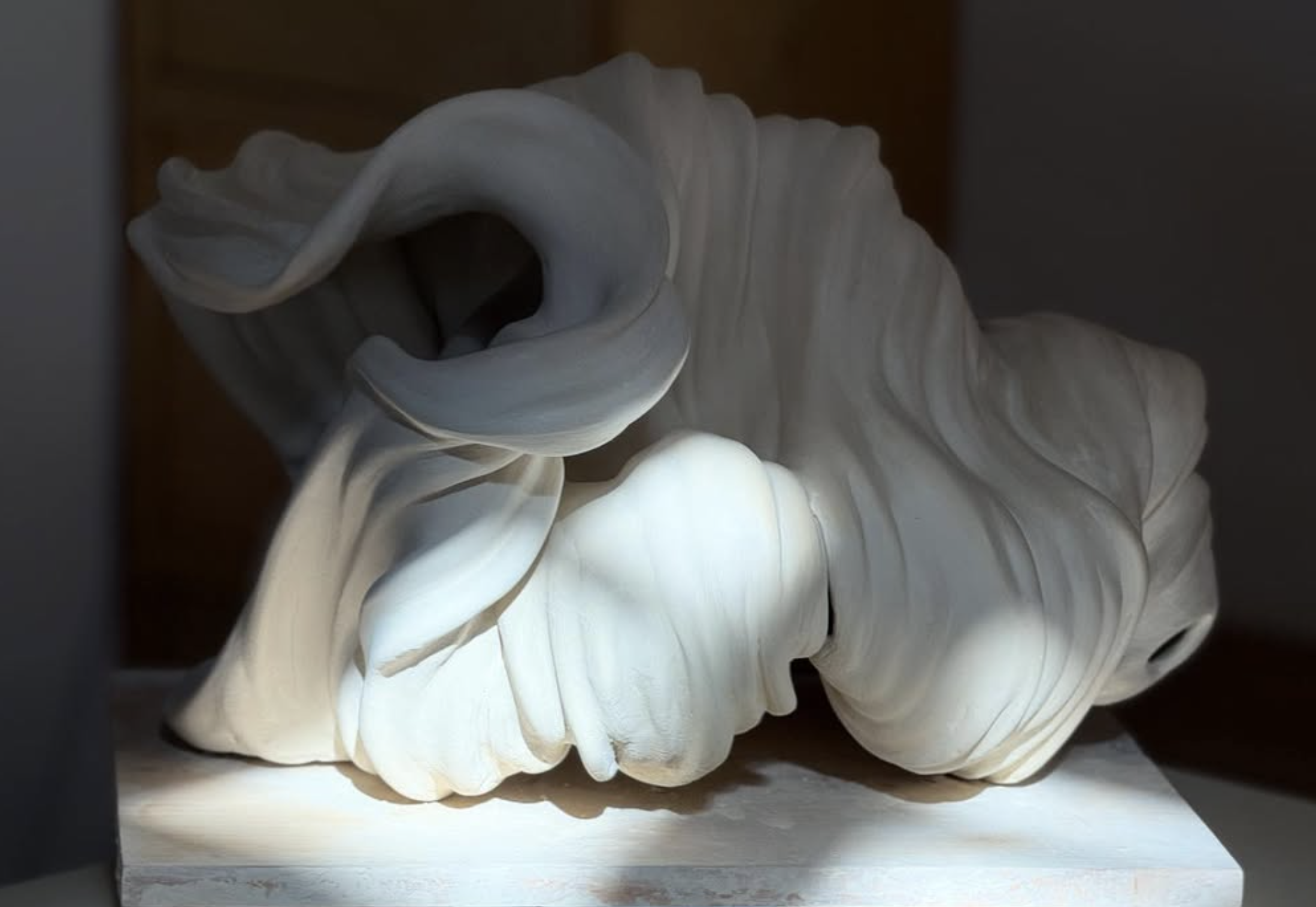 Sculptures born of movement.