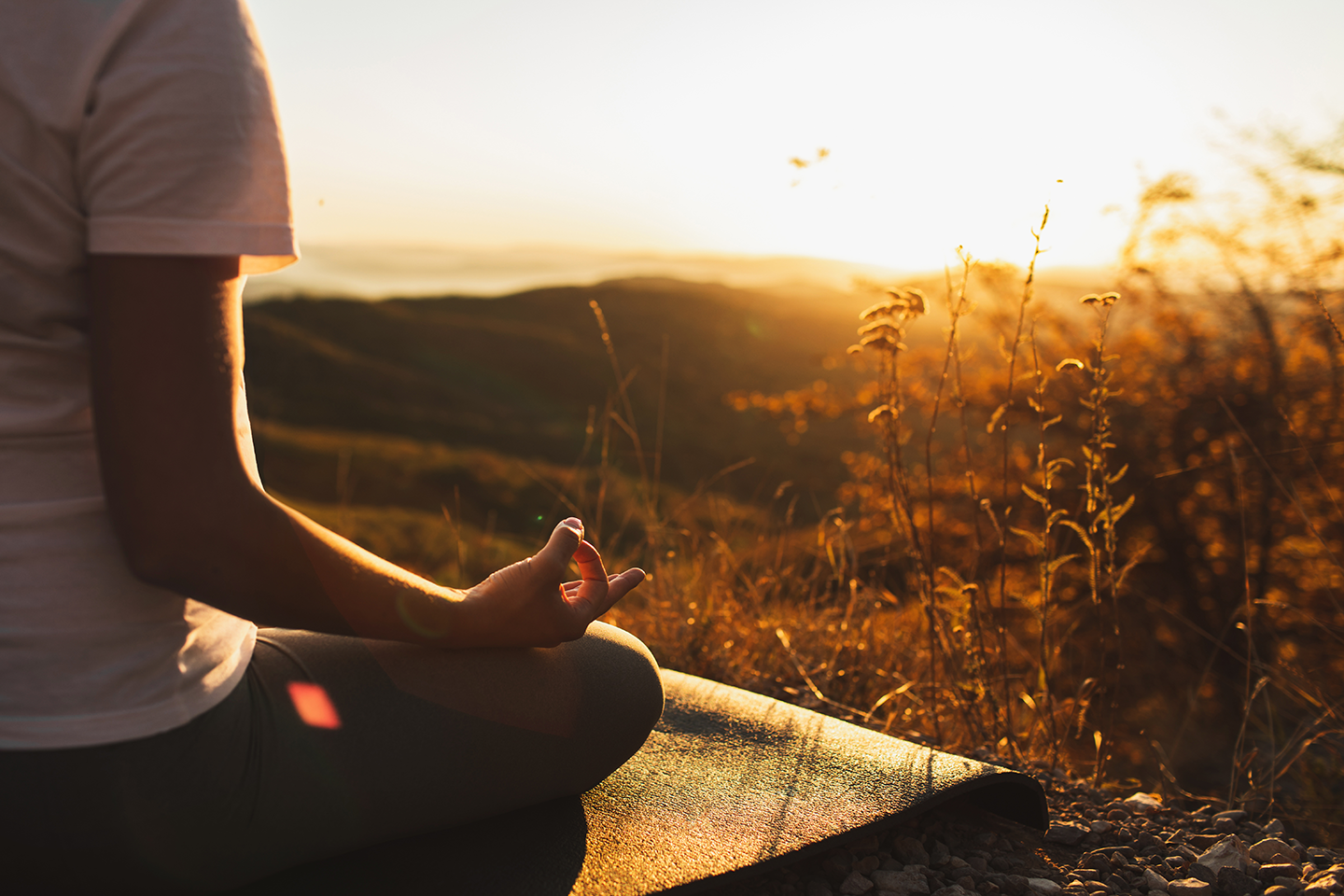 Navigating Self-Care in Our Ever-Changing World: A Zen'n'ish® Perspective