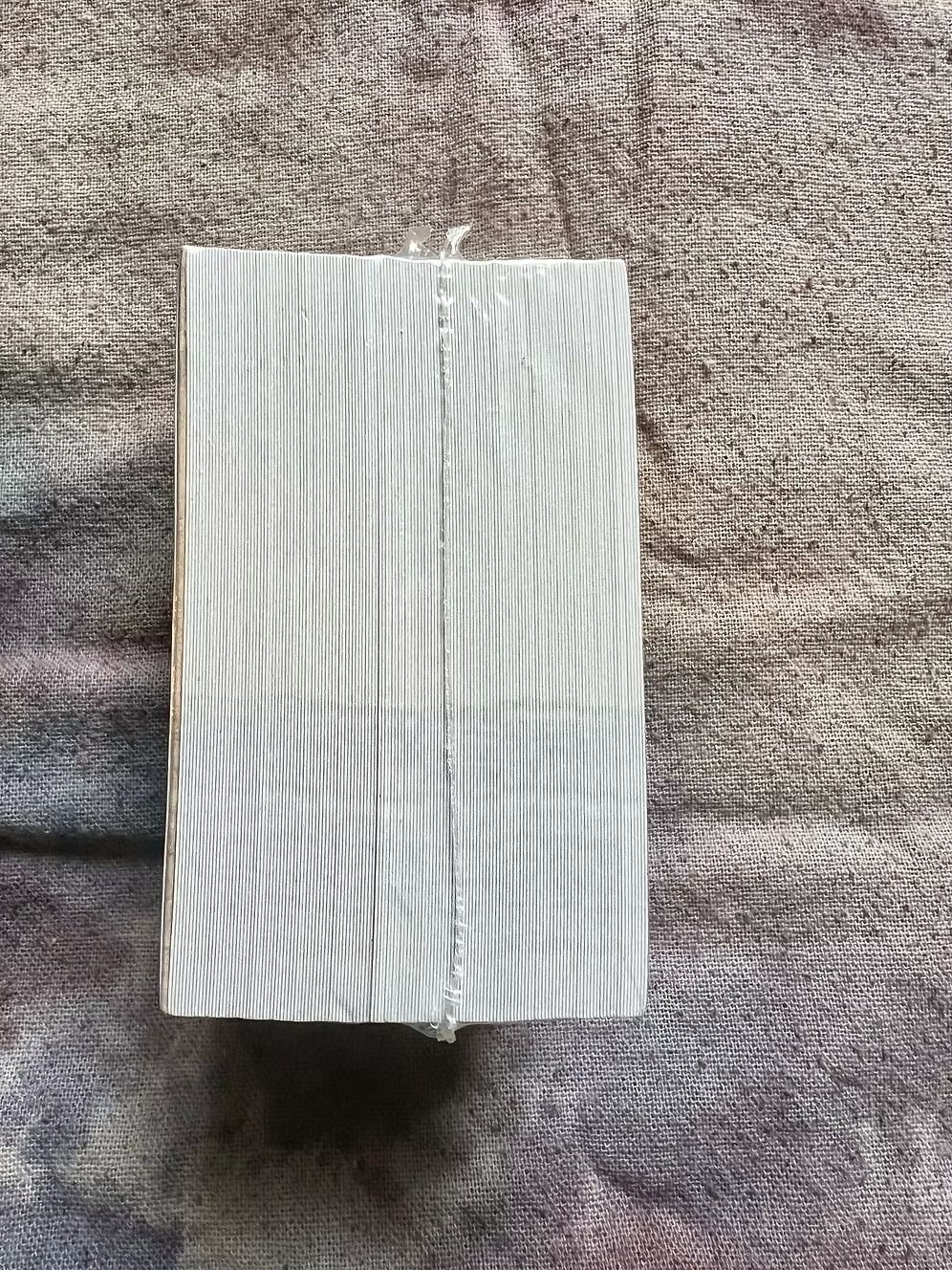 576827_b63d3eaf651040a391481699976680b0~mv2 copy.webp