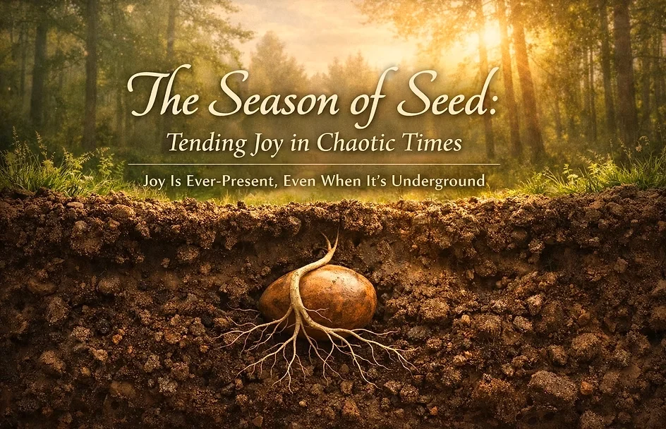 The Season of Seed:Tending Joy in Chaotic Times​