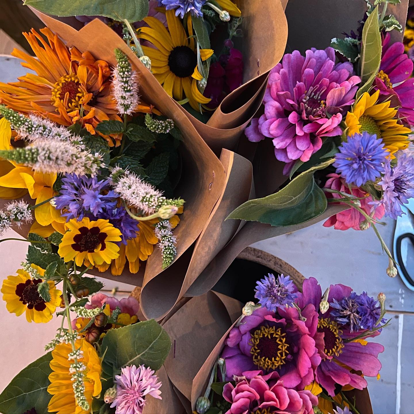 Come see us and snag some summer blooms 🦋

Nashville Farmers Market | Brown County Inn
11-2pm | Fresh Cut Flowers + Herb Bundles

#freshcutflowers #summerblooms #smallbusiness