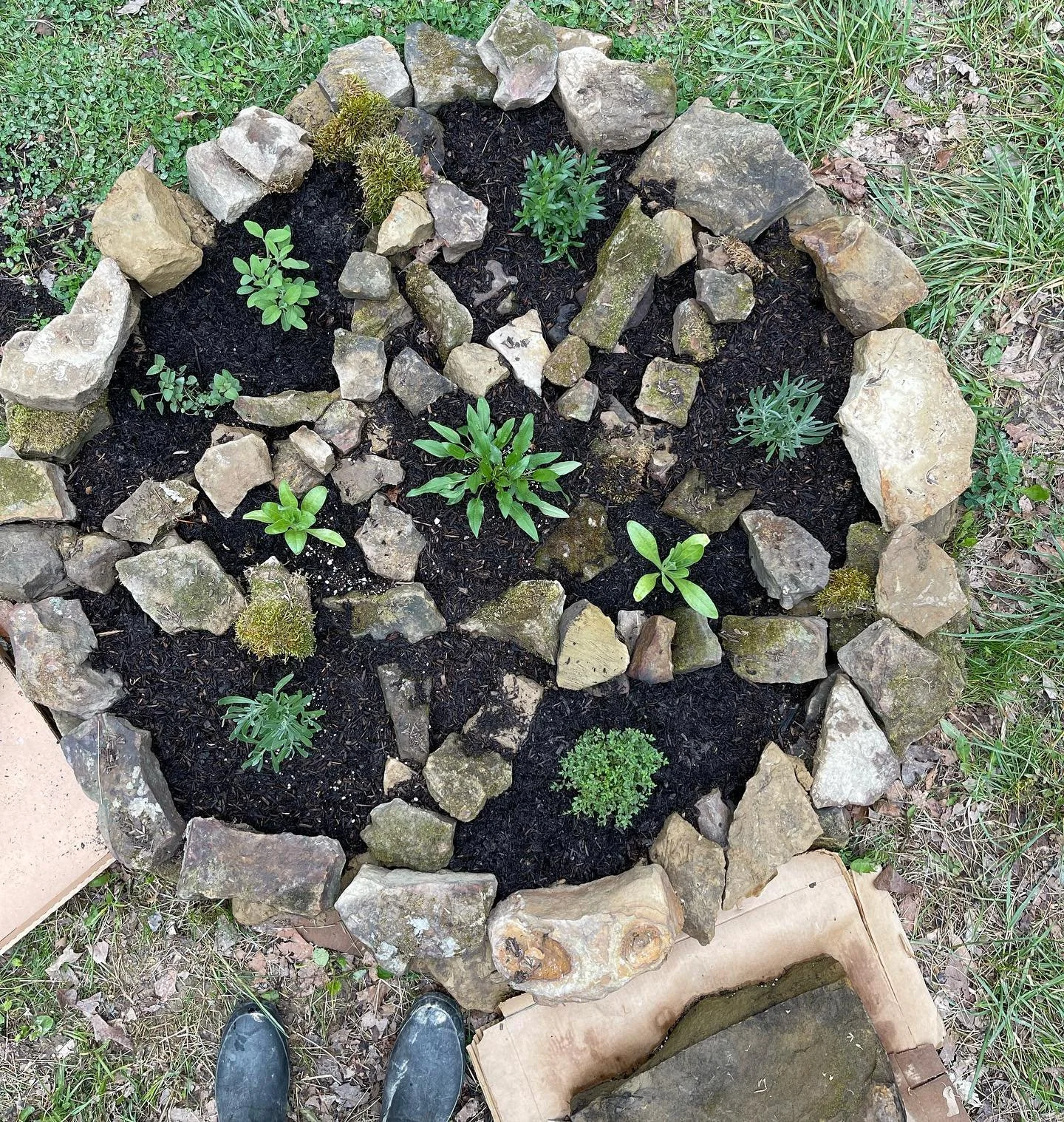 The centerpiece of the garden is done 🥹✨ YOU GUYS! Our first farmers market of the season is literally less than a week away and I am so so excited to see everyone&rsquo;s face again this year. 

ALSO&hellip;.. UNTAMEDGOODS.COM will be launching the