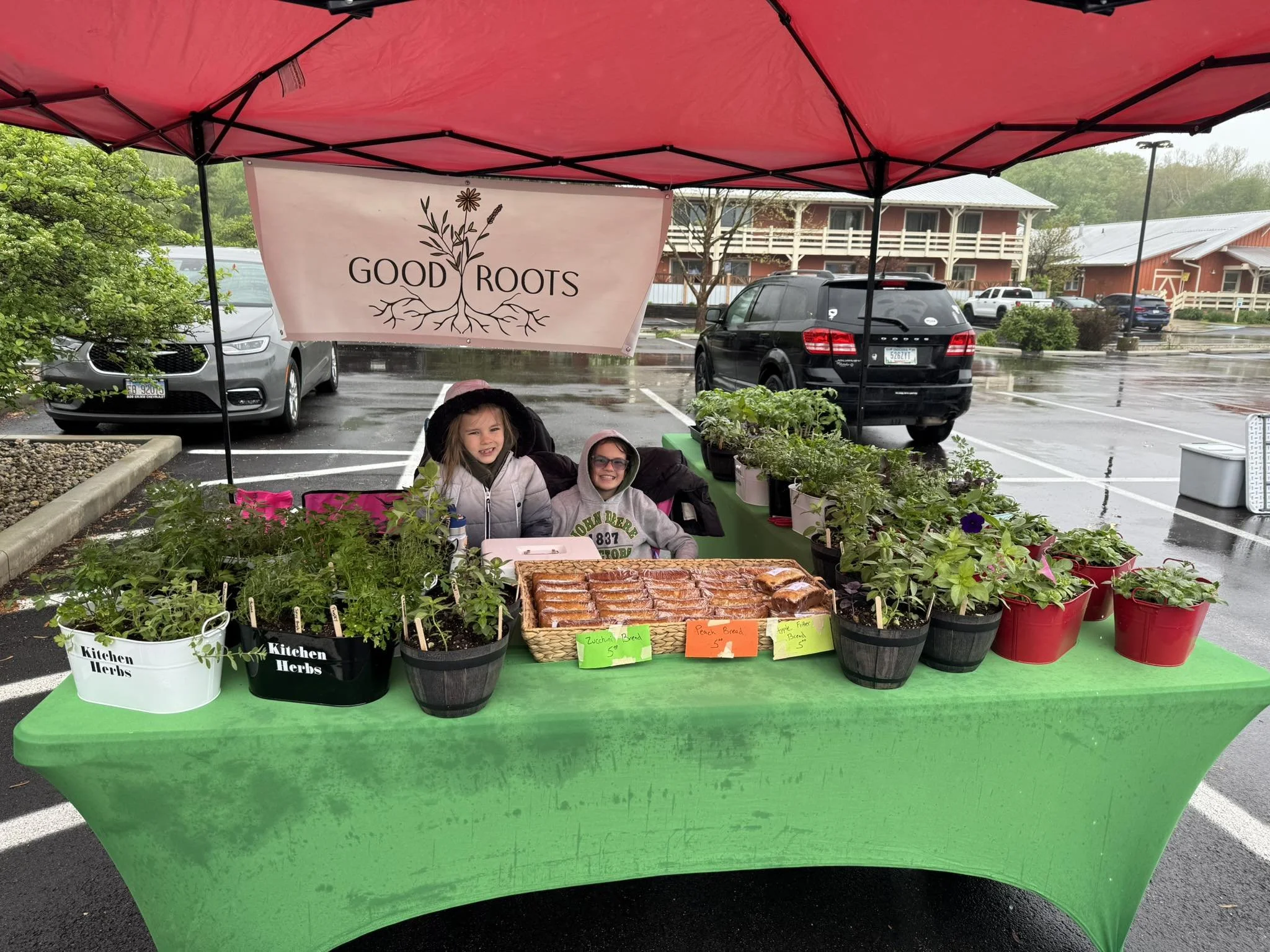 A farmers market stall under a red canopy with a "Good Roots" banner, displaying potted herbs and plants, with two children sitting behind the table in rainy weather.
