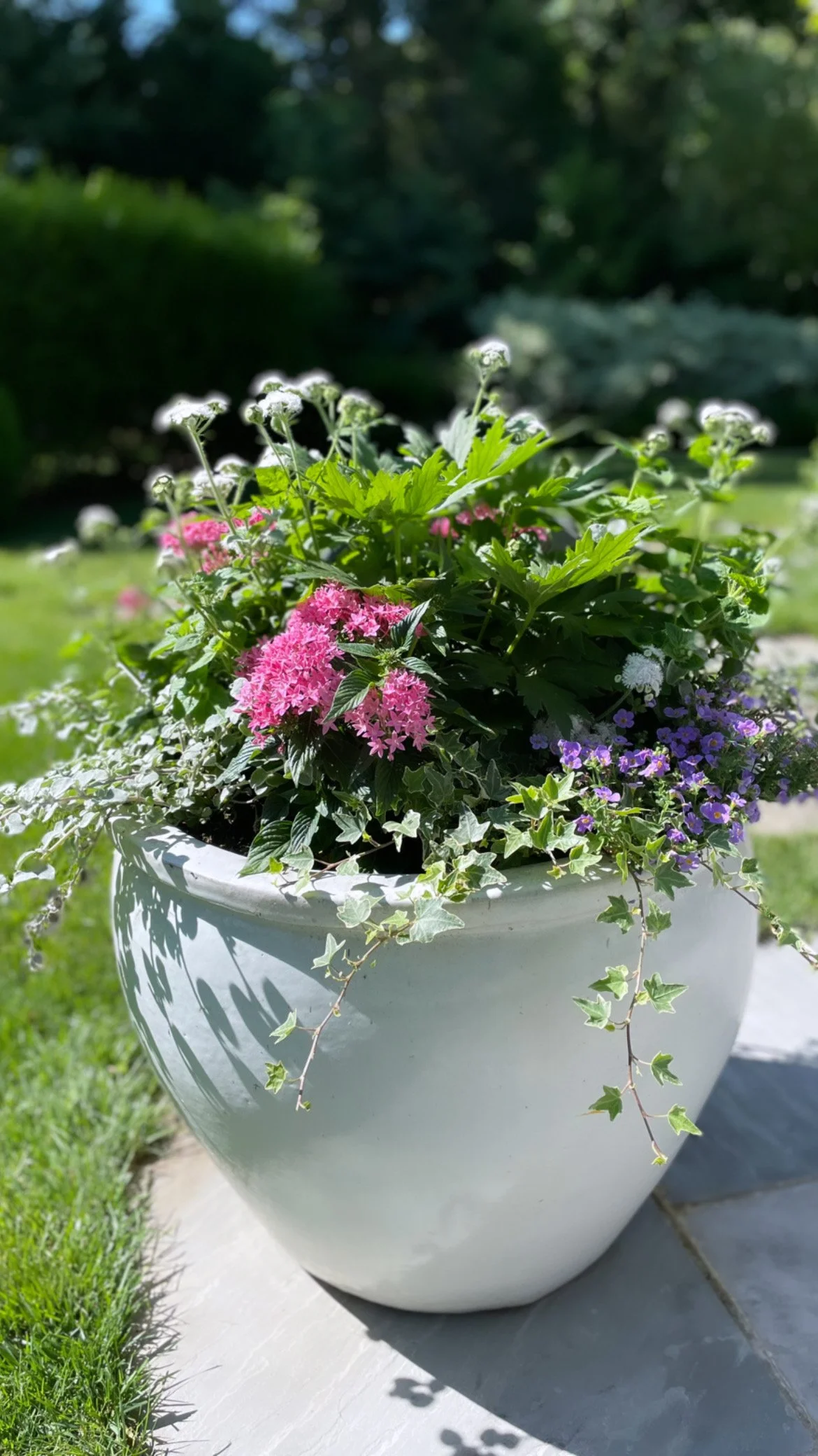 Marshall Gardens & Design — Outline Plans, Planting Plans, Installation and Project Management, Revegetation and Code Compliance