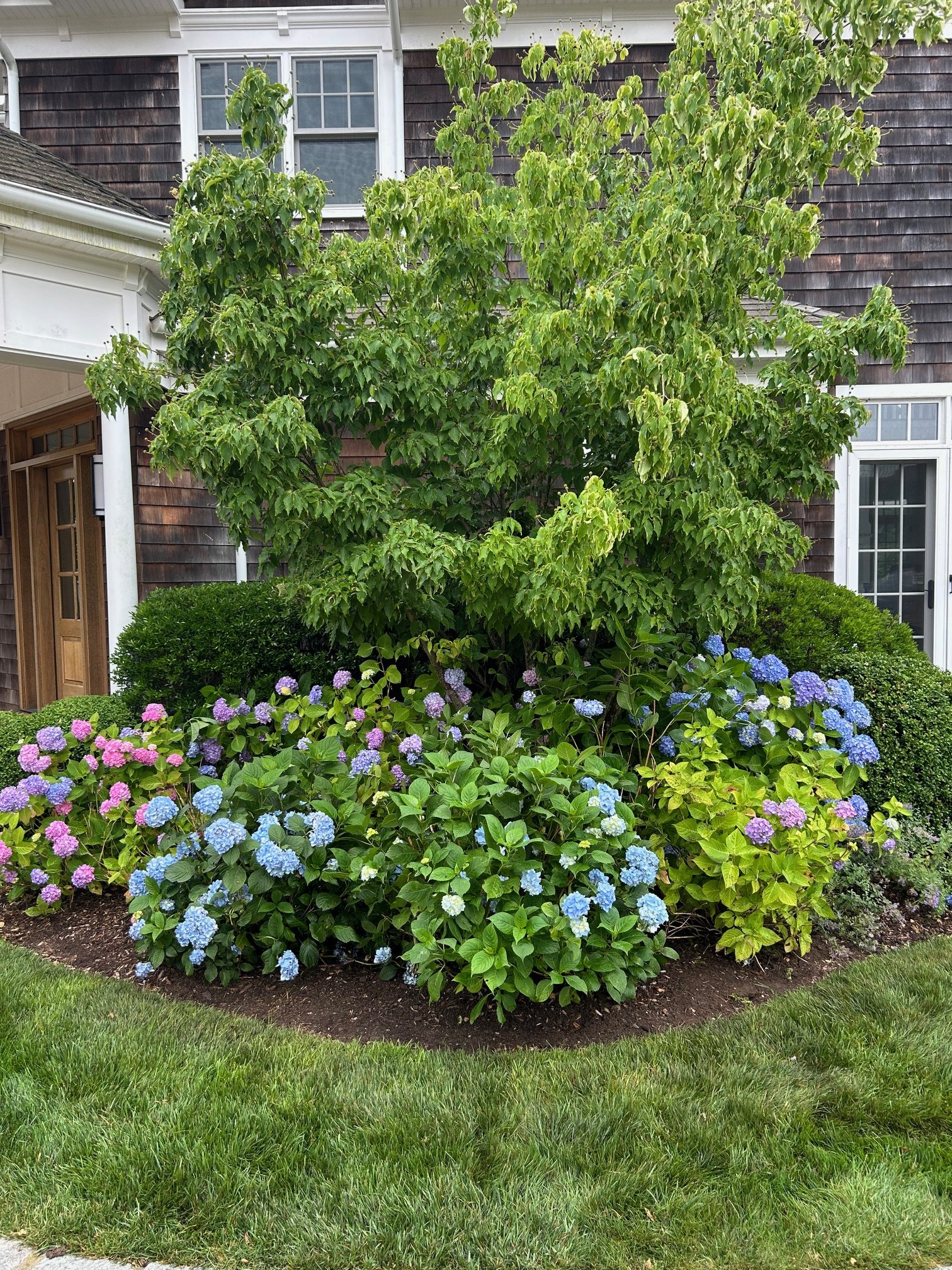 Marshall Gardens & Design — Lawn Care, Tree and Shrub Care, Organic Options, Landscape Maintenance, Pest Control and Organics