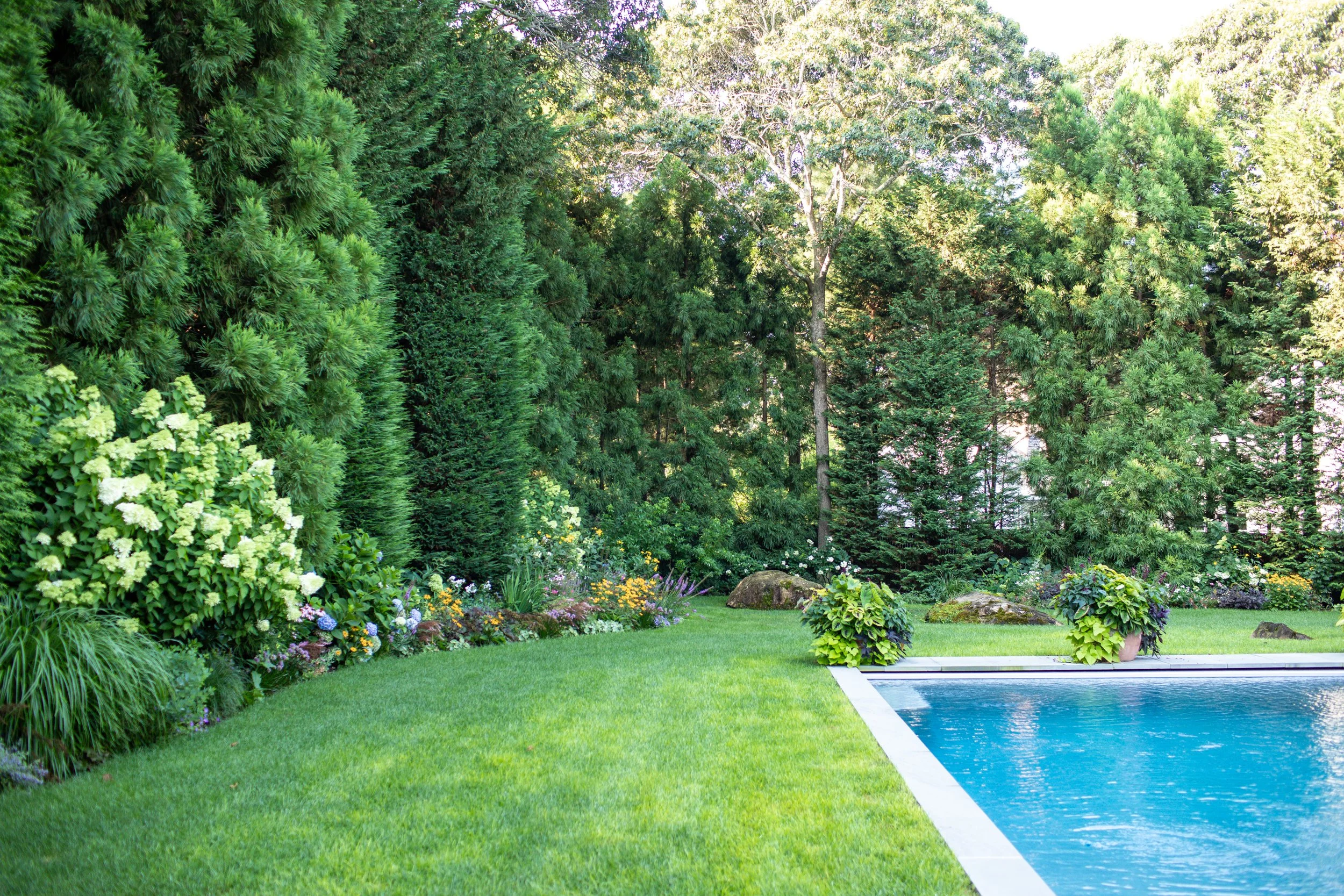 Marshall Gardens & Designs