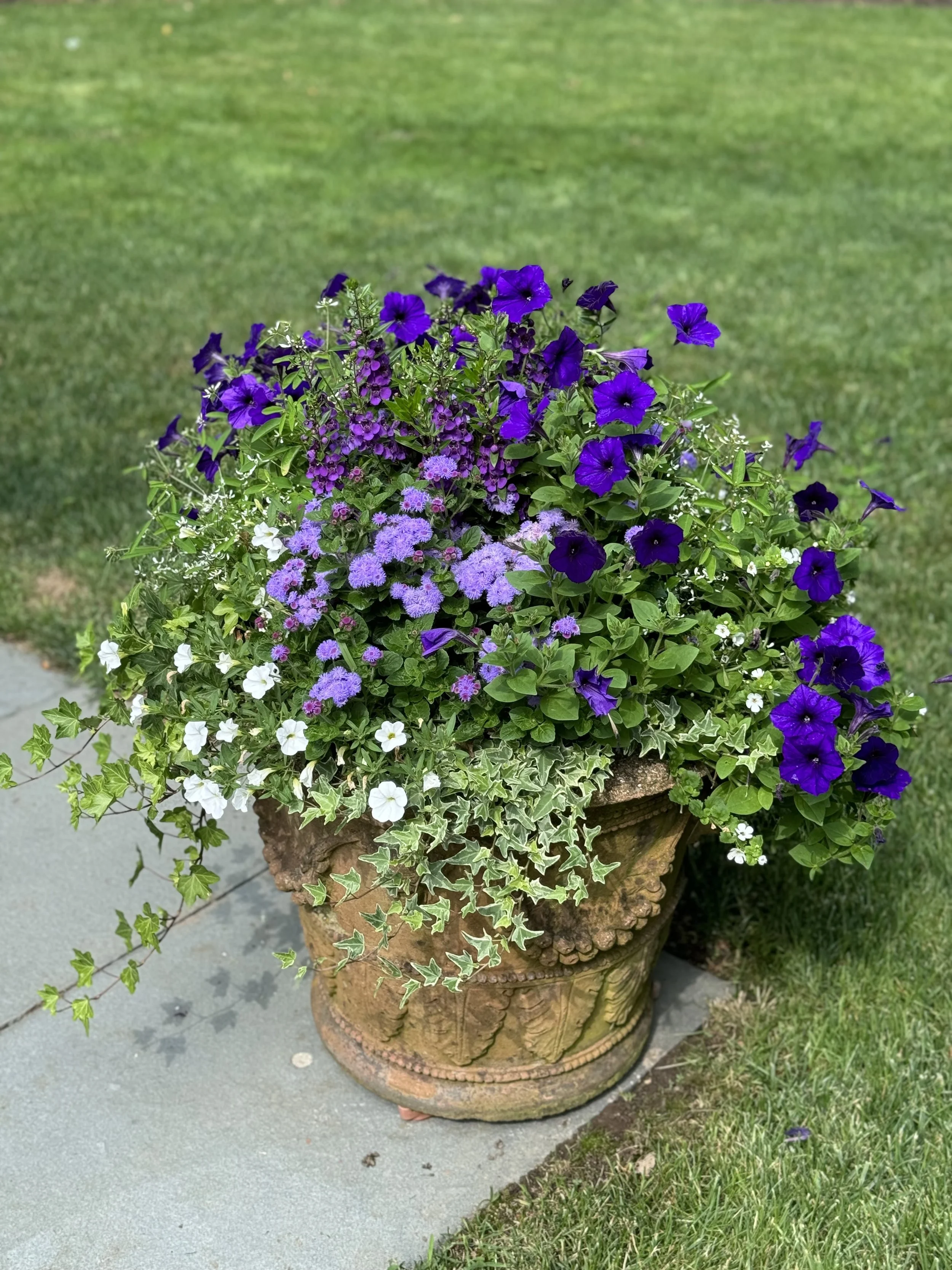 Marshall Gardens & Design — Outline Plans, Planting Plans, Installation and Project Management, Revegetation and Code Compliance