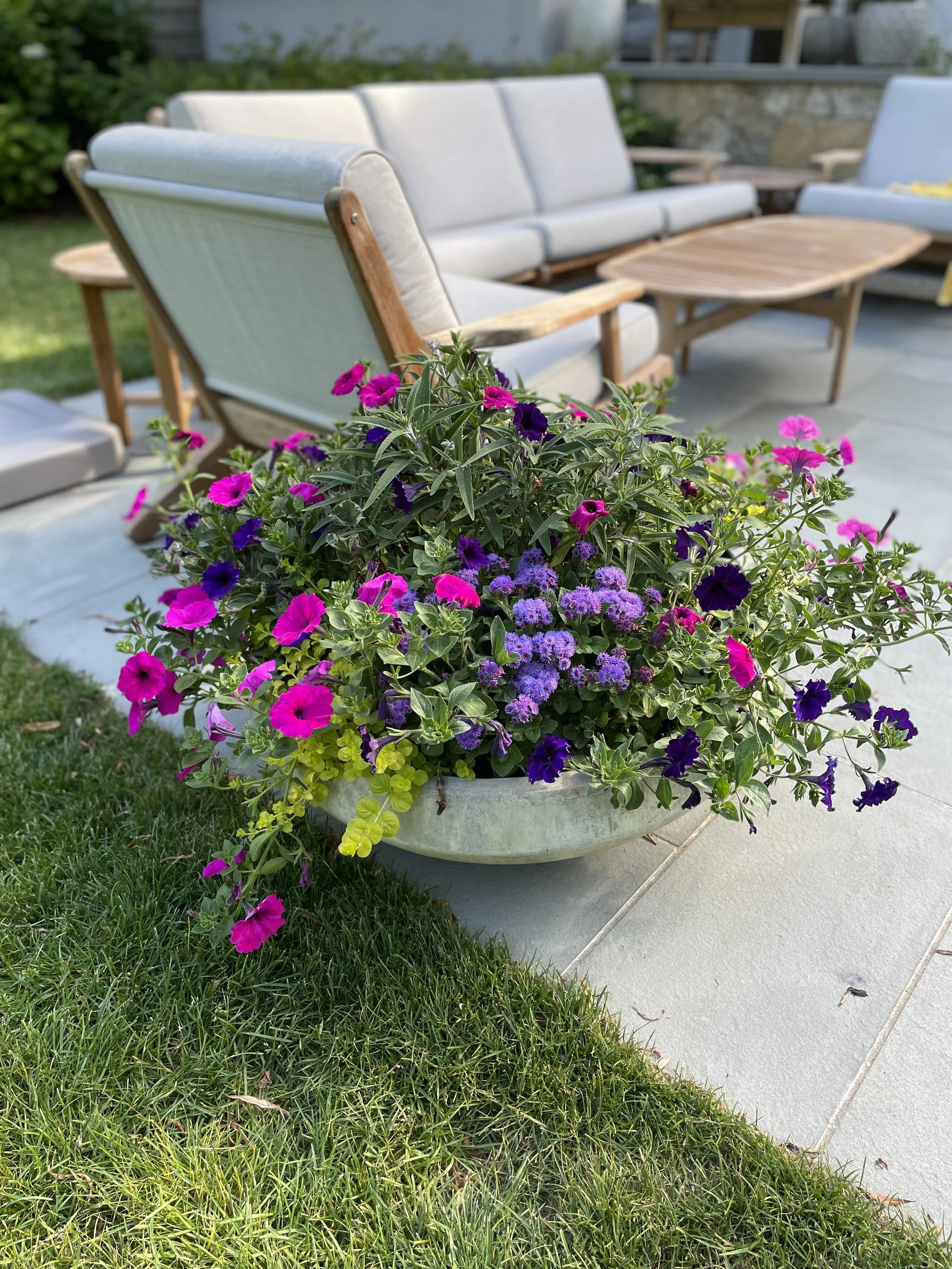 Marshall Gardens & Design — Outline Plans, Planting Plans, Installation and Project Management, Revegetation and Code Compliance