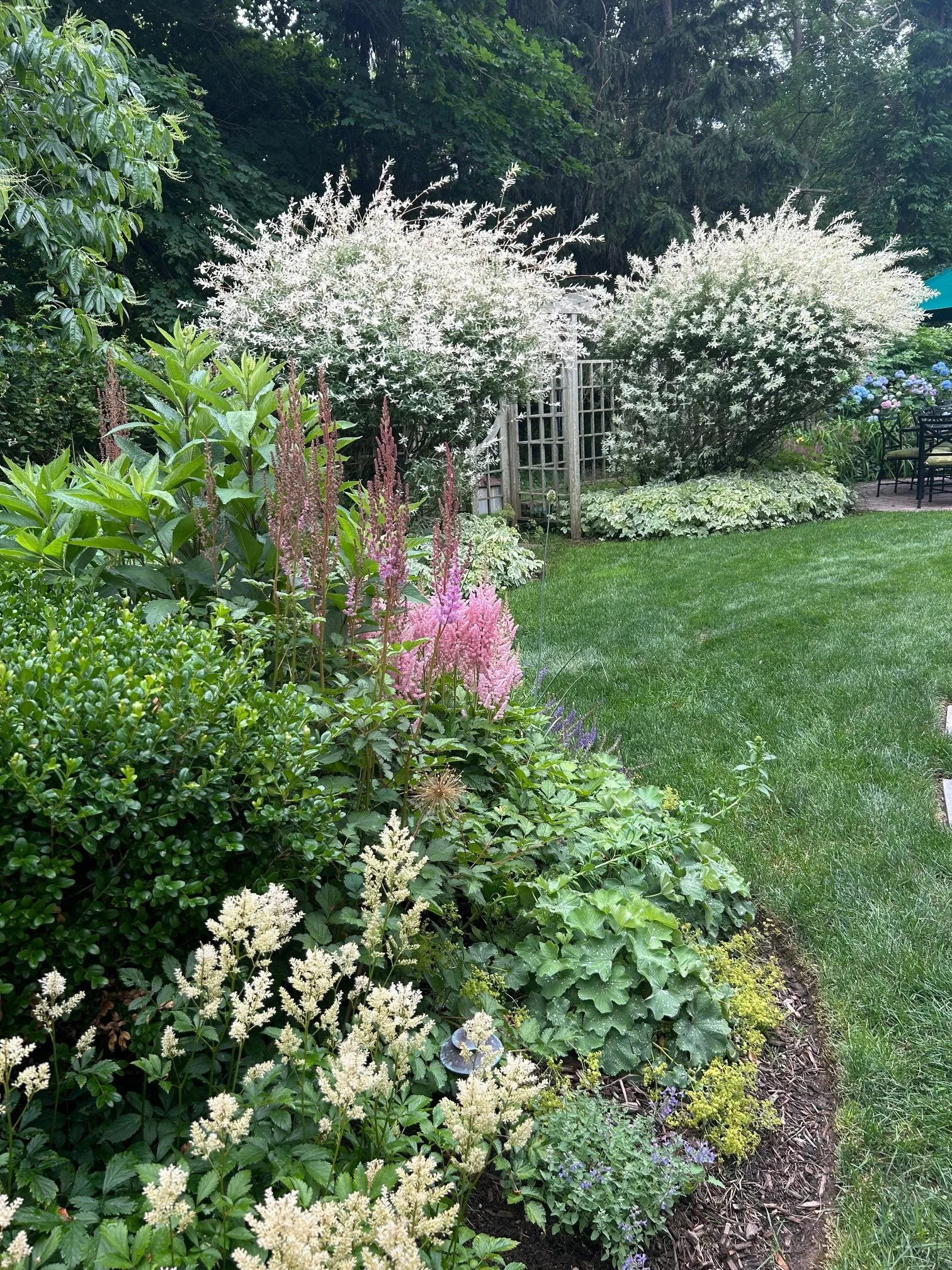 Marshall Gardens & Design — Lawn Care, Tree and Shrub Care, Organic Options, Landscape Maintenance, Pest Control and Organics