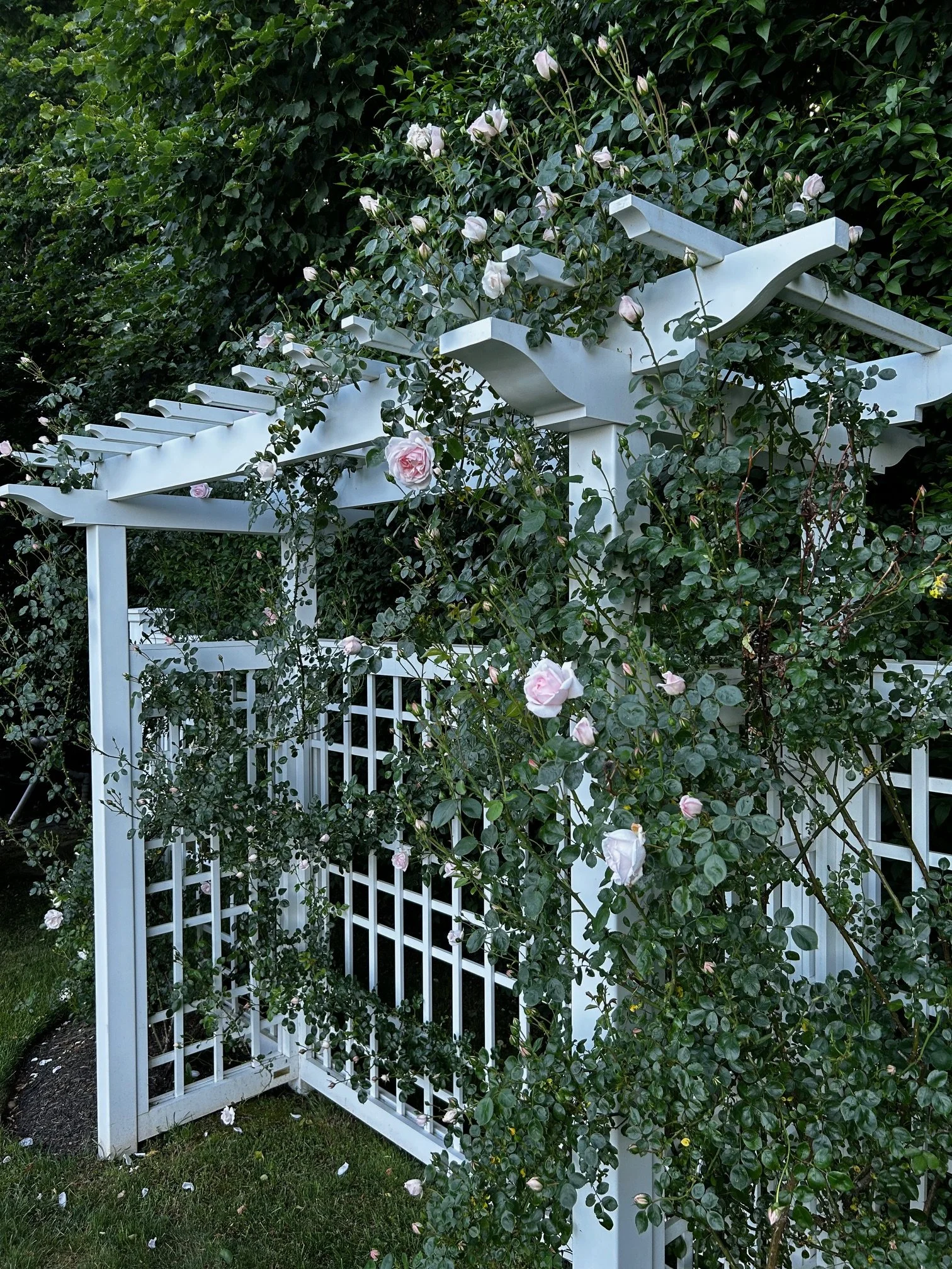 Marshall Gardens & Design — Front walks, Driveways, Patio and Terrace, Outdoor Kitchens, Pergolas and Firepits