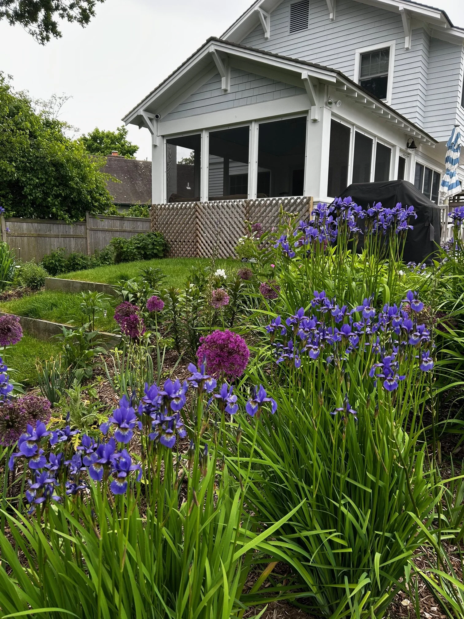 Marshall Gardens & Design — Lawn Care, Tree and Shrub Care, Organic Options, Landscape Maintenance, Pest Control and Organics