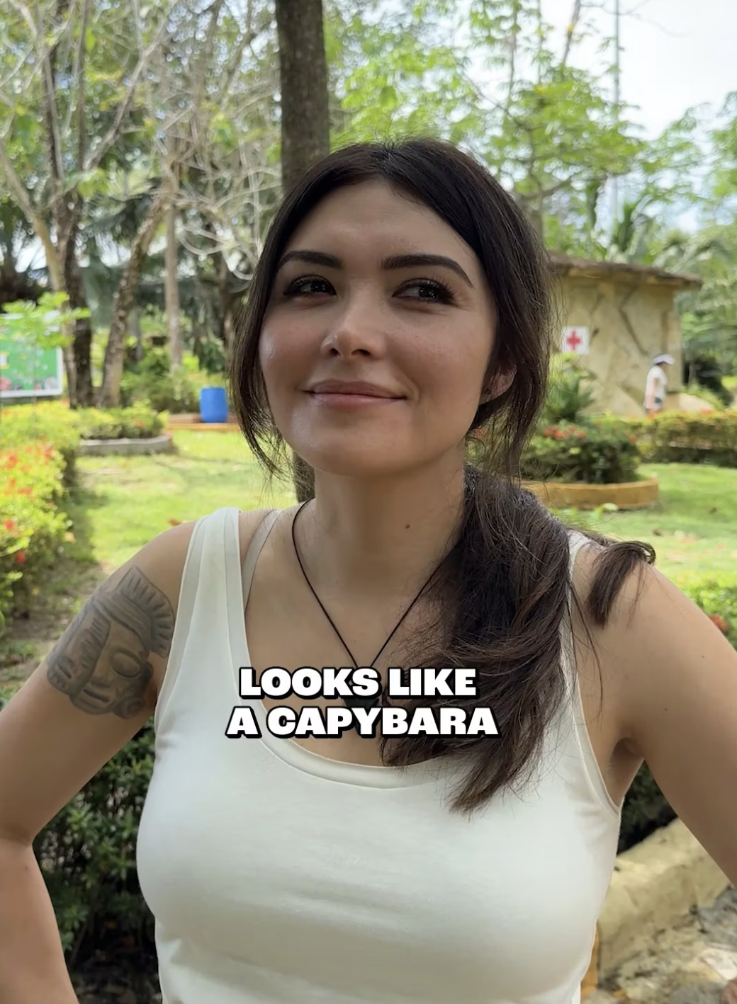 Looks Like a Capybara